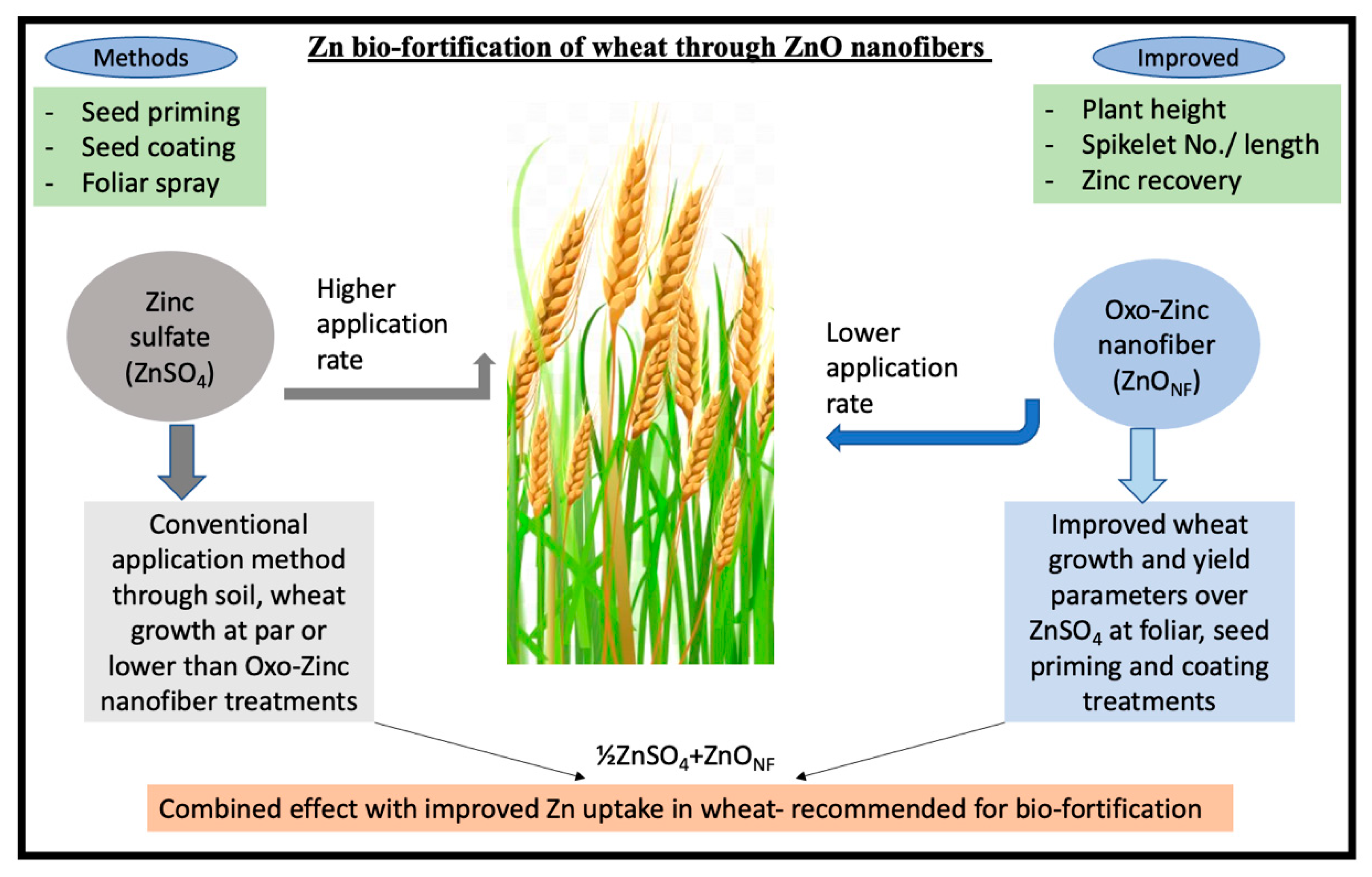 Agronomy 13 00400 g004 Agronomy 13 00400 g004