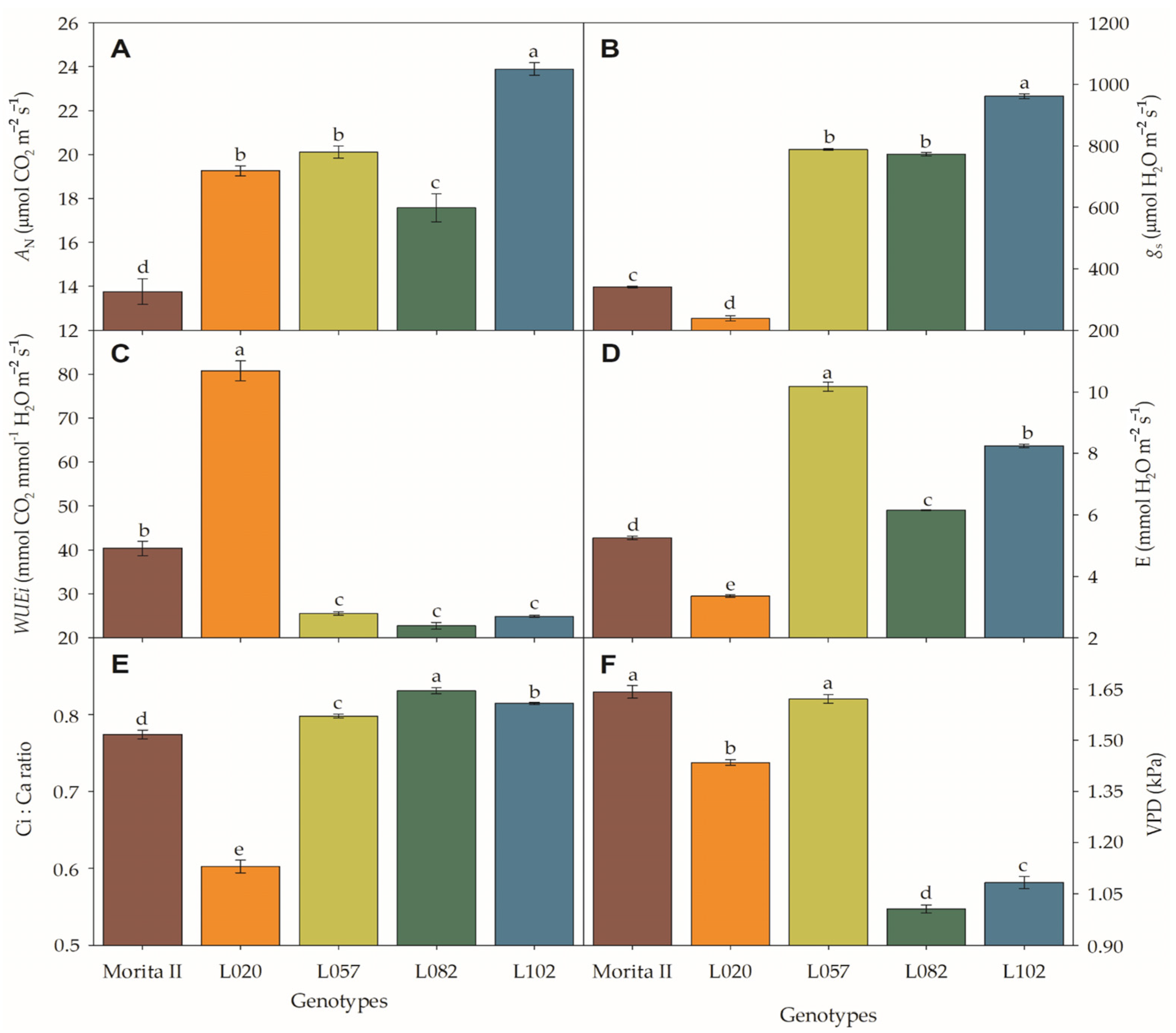 Agronomy 13 00403 g001