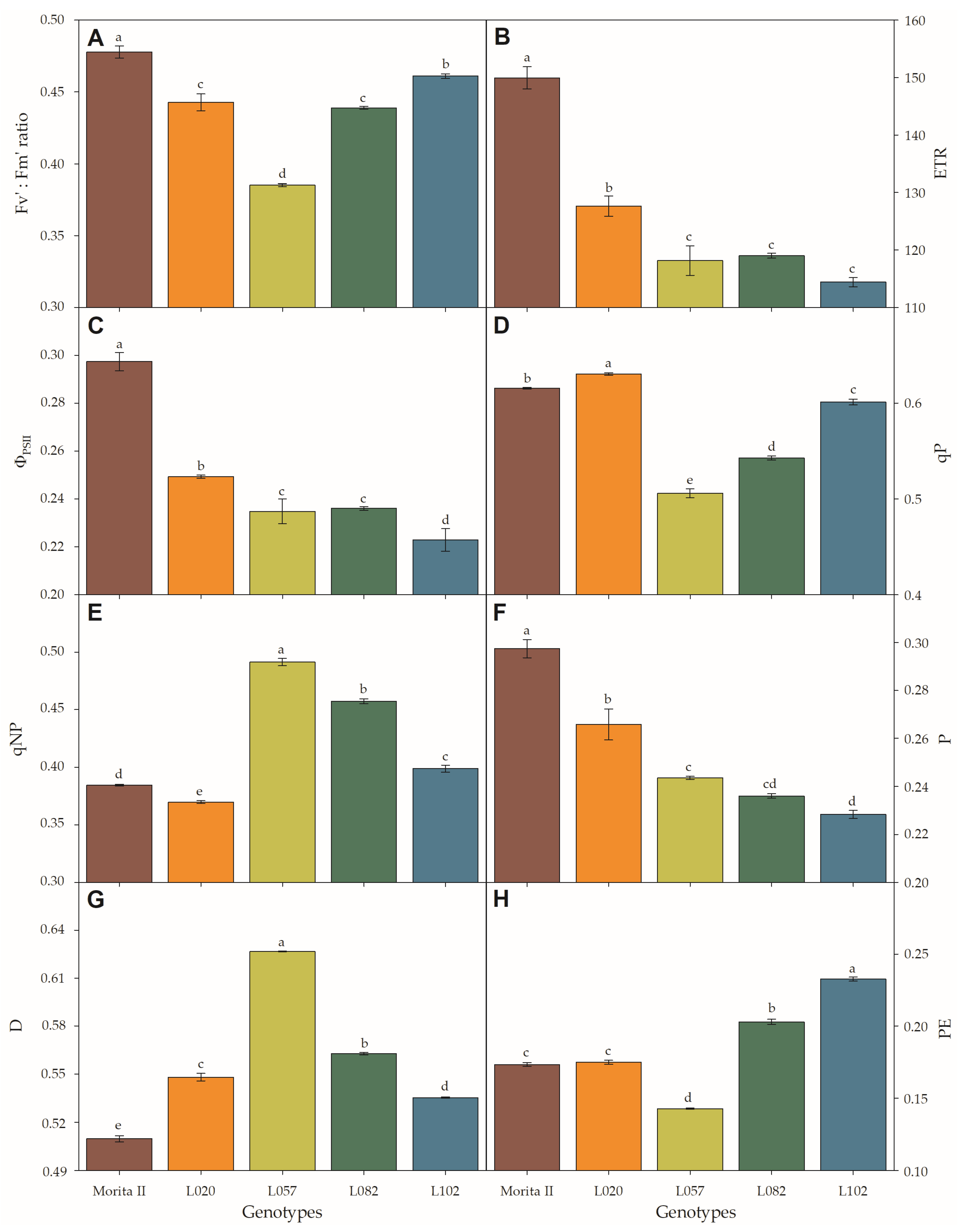 Agronomy 13 00403 g005