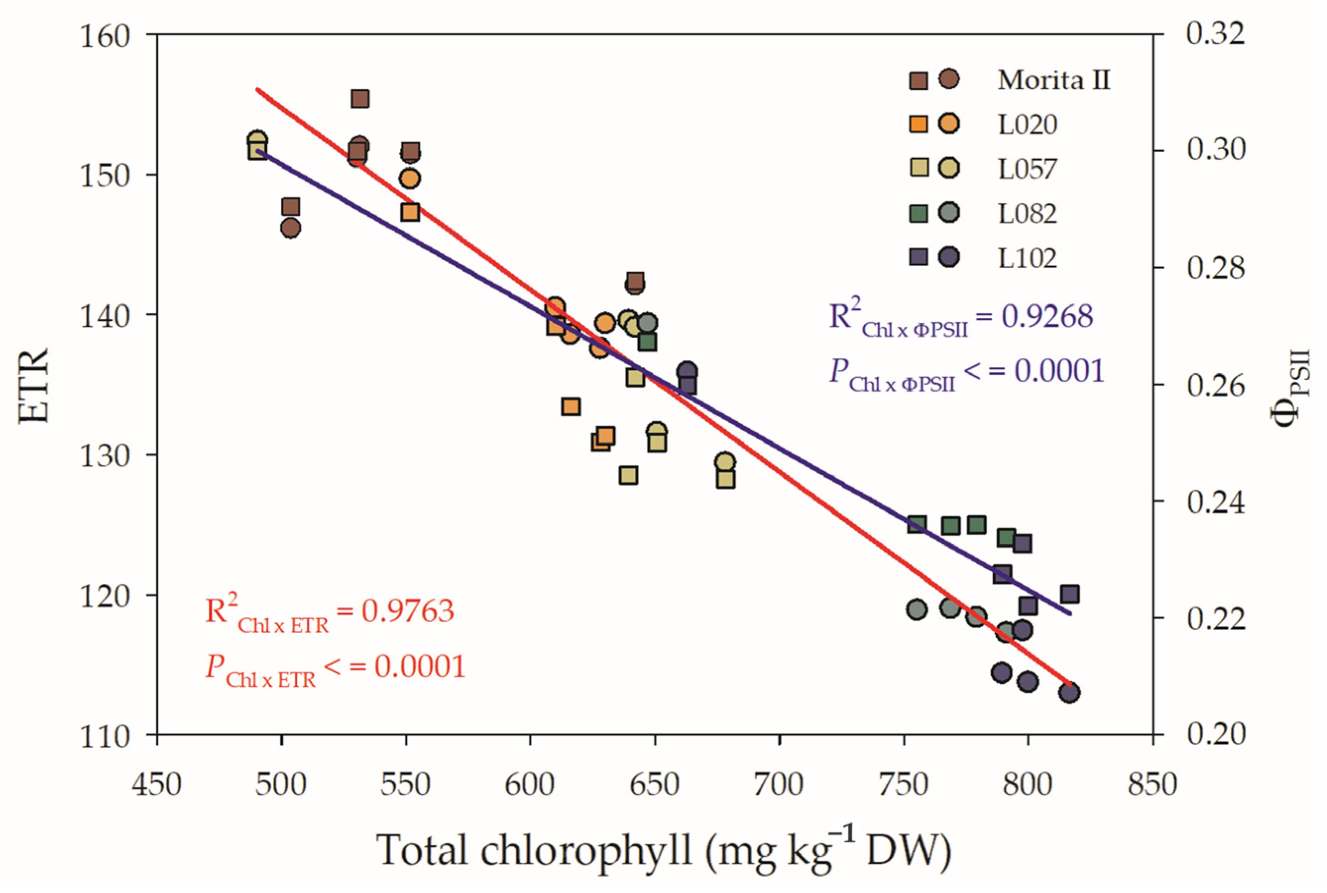 Agronomy 13 00403 g007