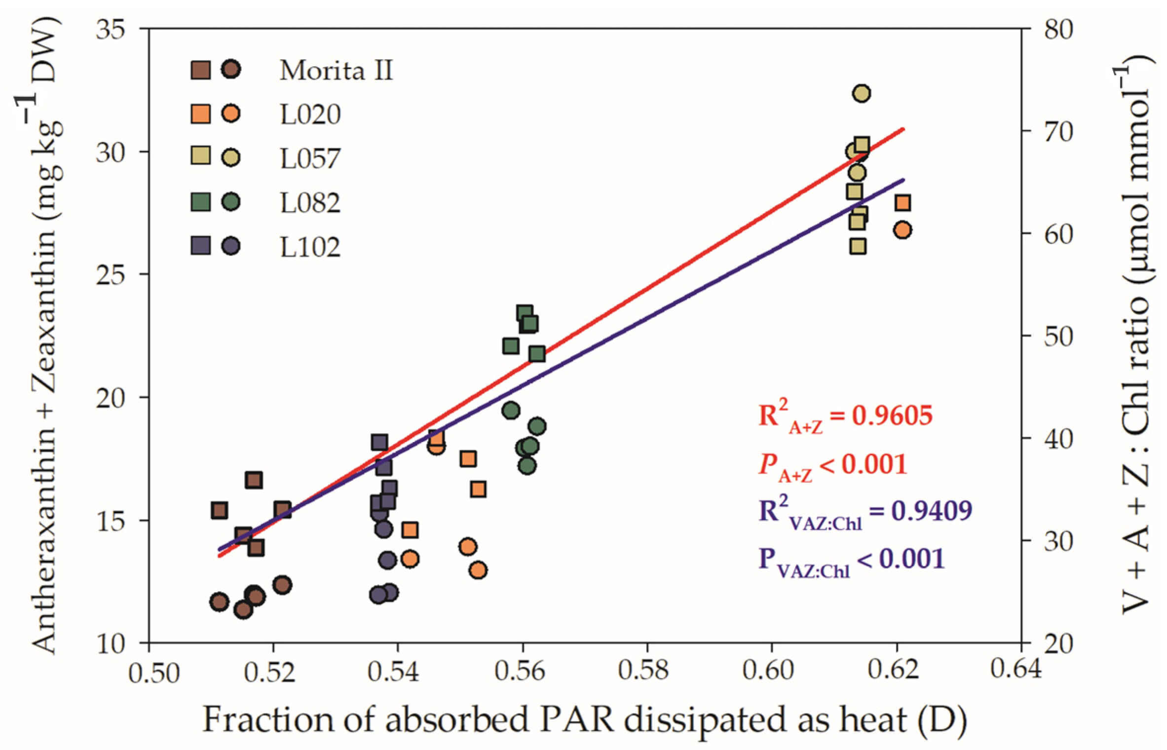 Agronomy 13 00403 g009