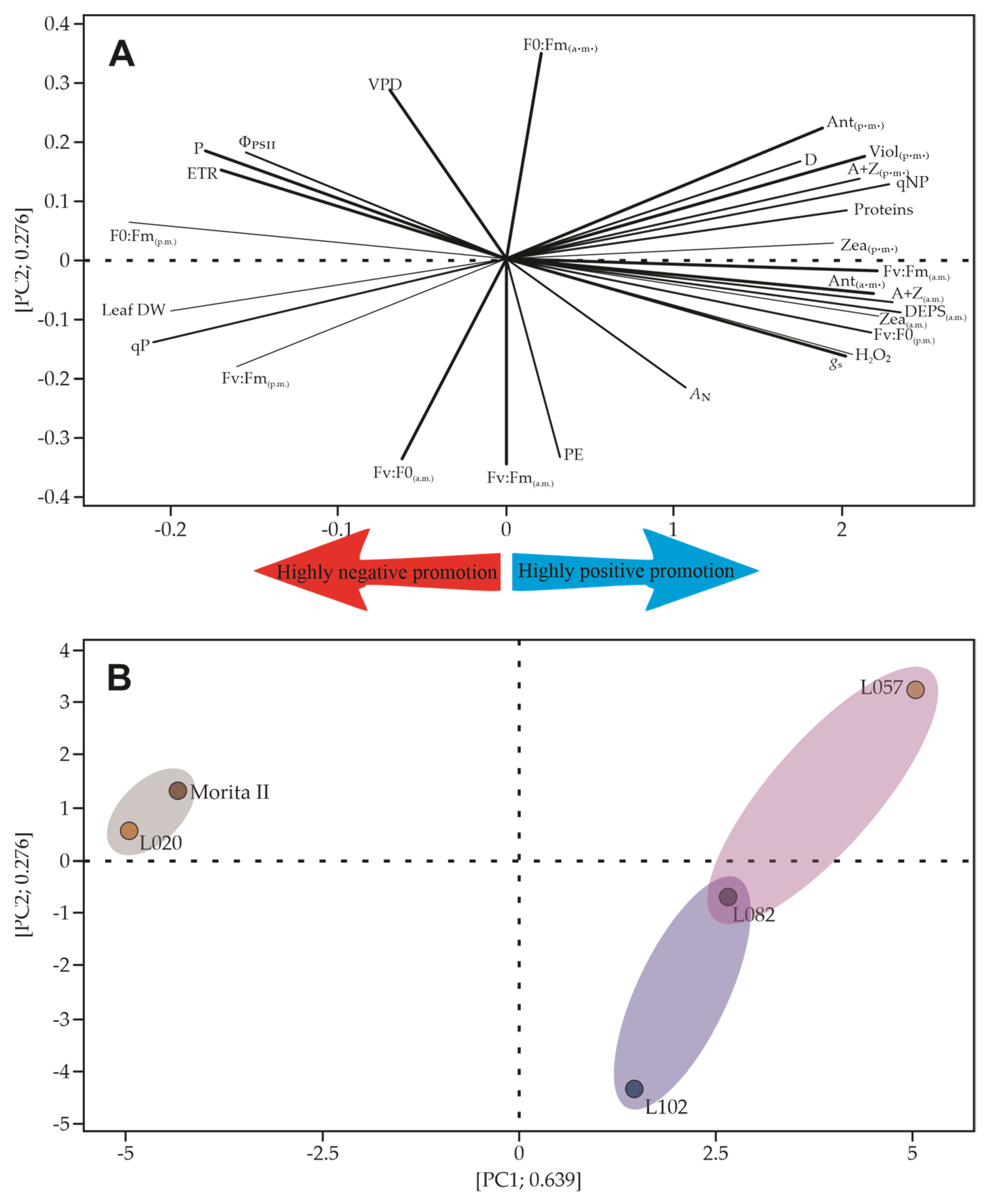 Agronomy 13 00403 g012