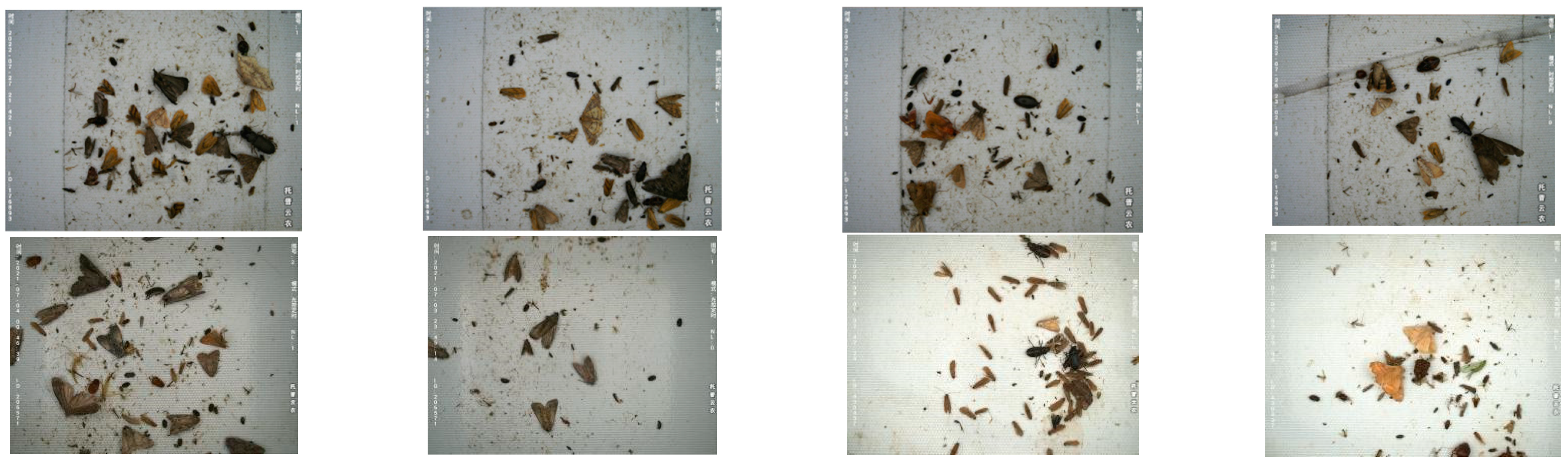 Agronomy 13 00410 g001