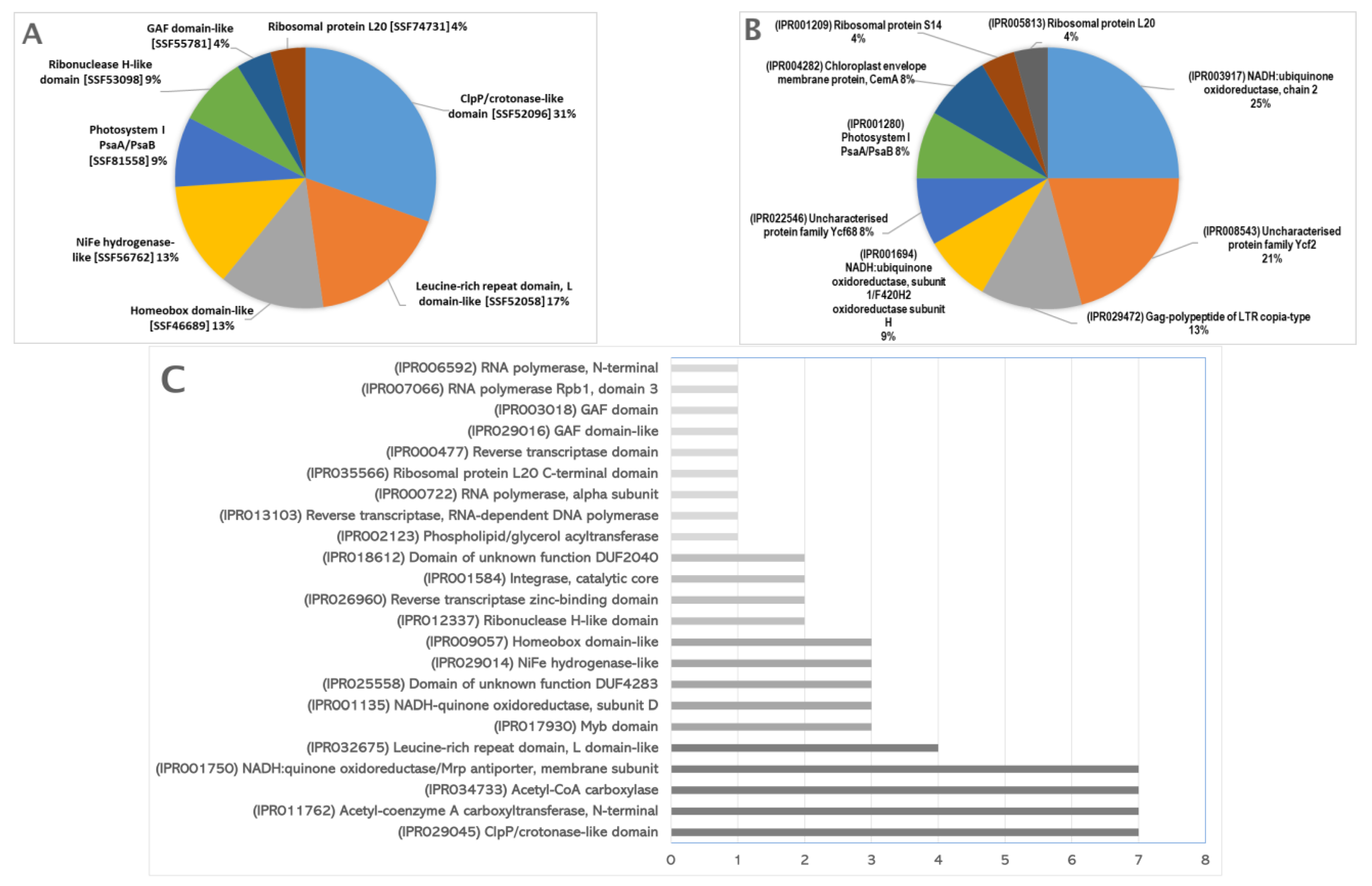 Agronomy 13 00415 g004