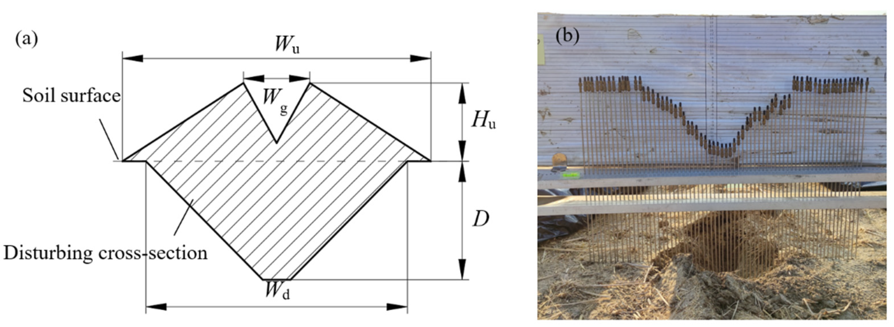 Agronomy 13 00418 g007 Agronomy 13 00418 g007