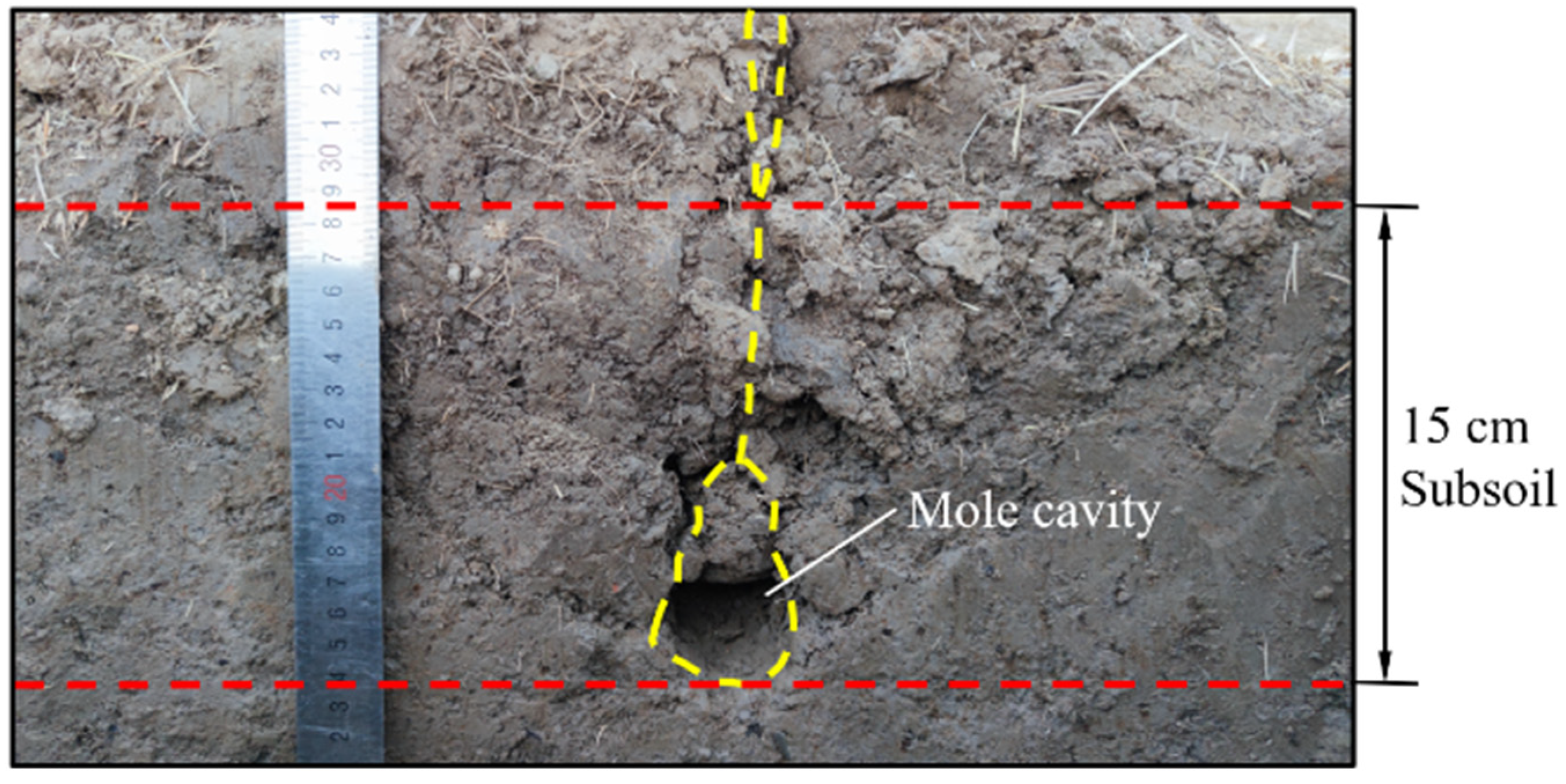 Agronomy 13 00418 g013 Agronomy 13 00418 g013