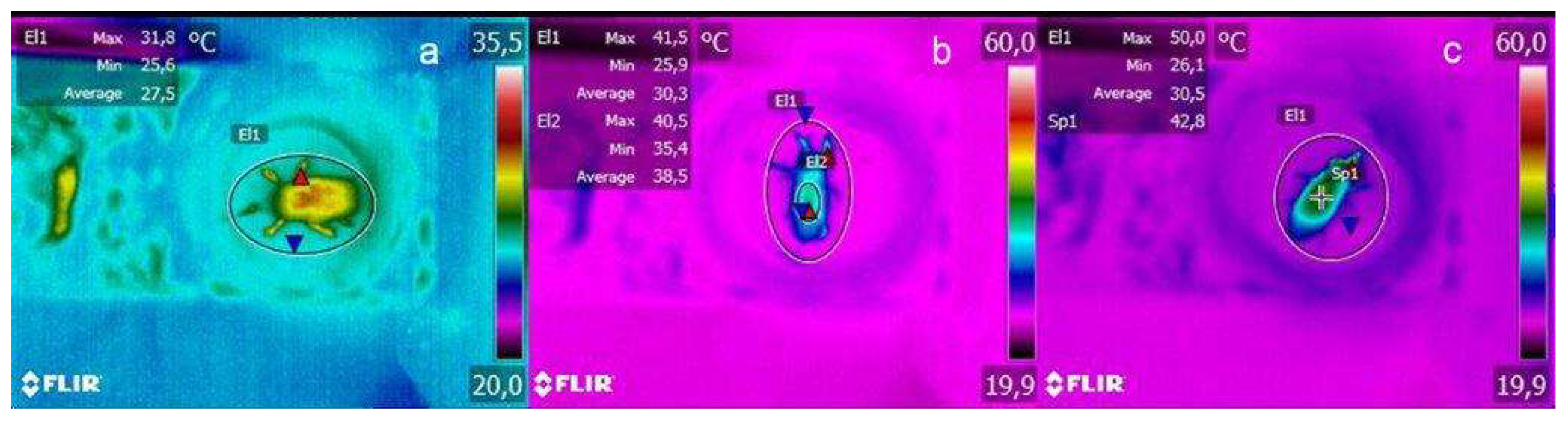 Agronomy 13 00420 g001