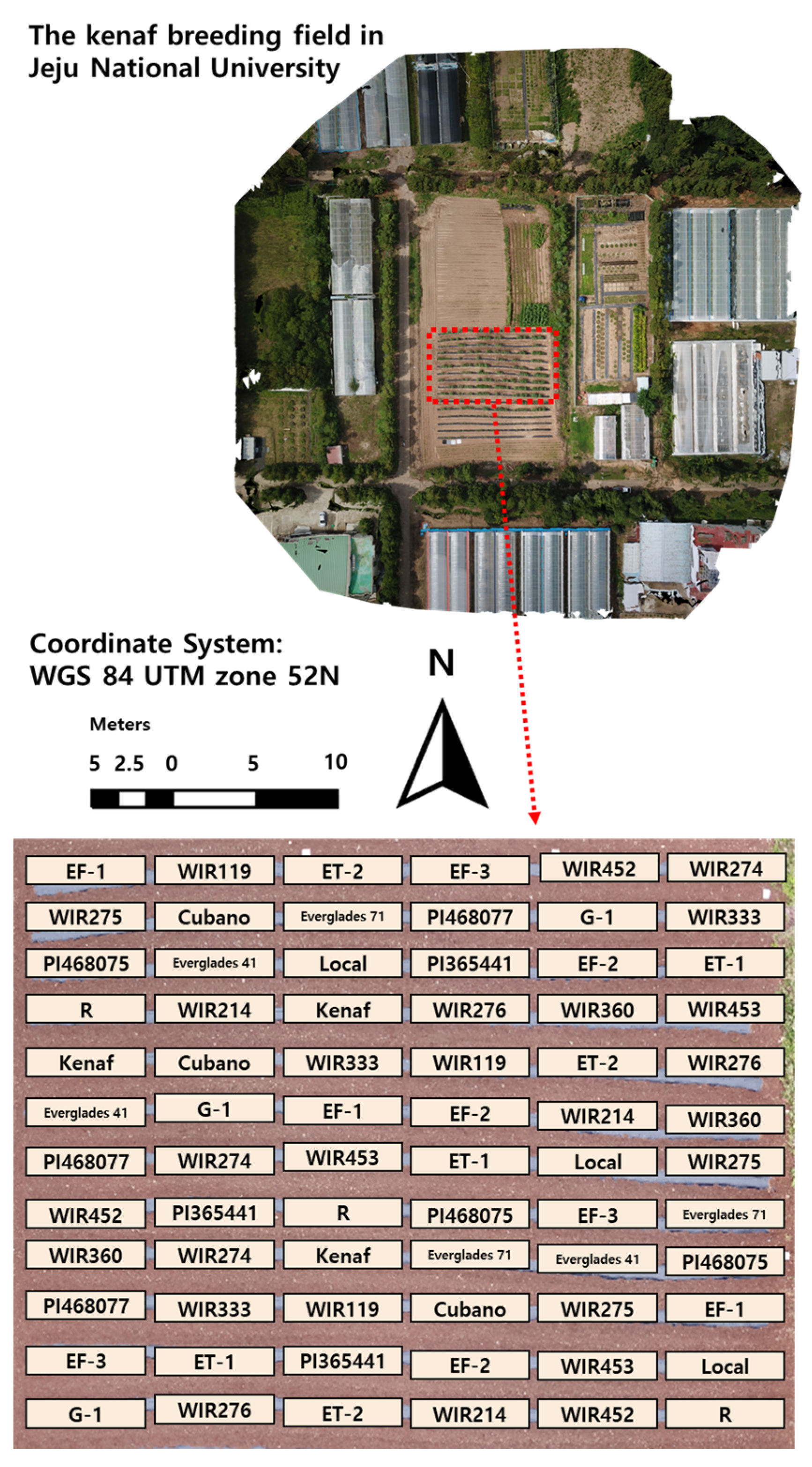Agronomy 13 00428 g001 Agronomy 13 00428 g001