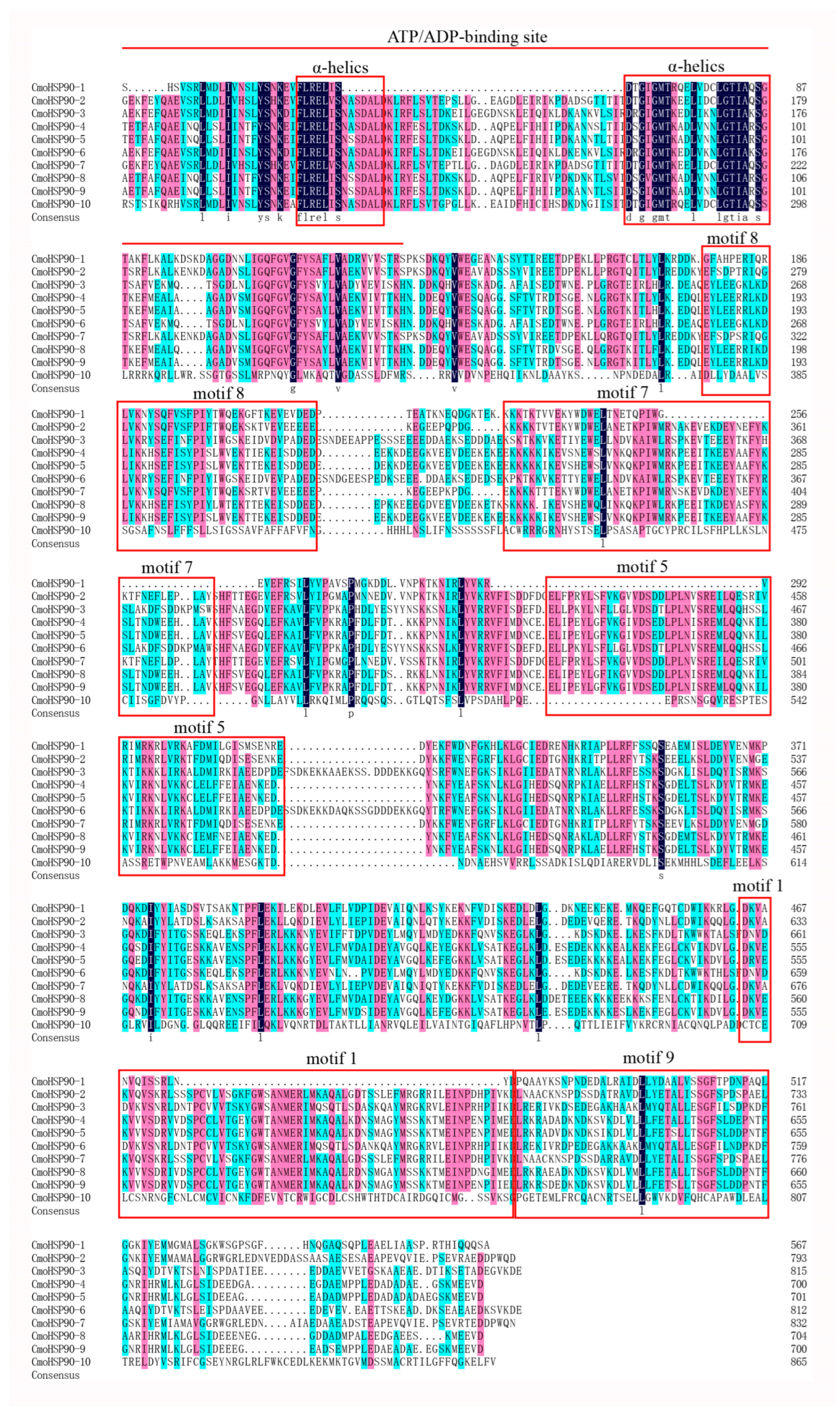 Agronomy 13 00430 g003 Agronomy 13 00430 g003