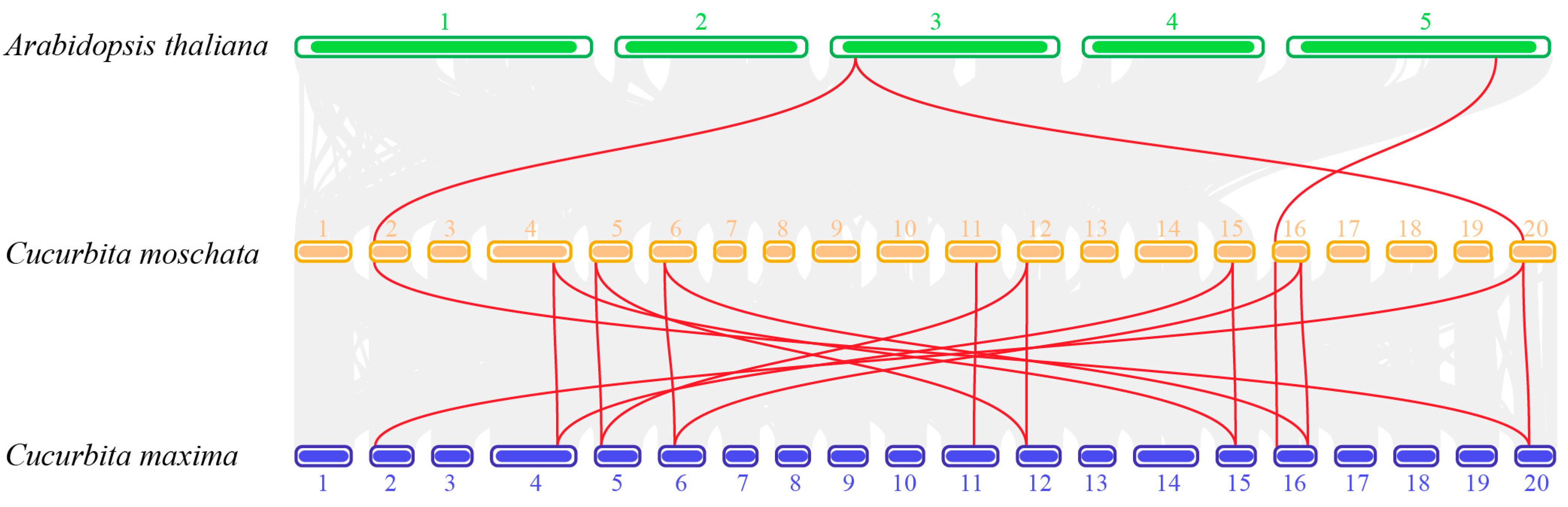Agronomy 13 00430 g005 Agronomy 13 00430 g005