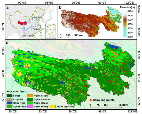 Net Primary Productivity Estimation Using a Modified MOD17A3