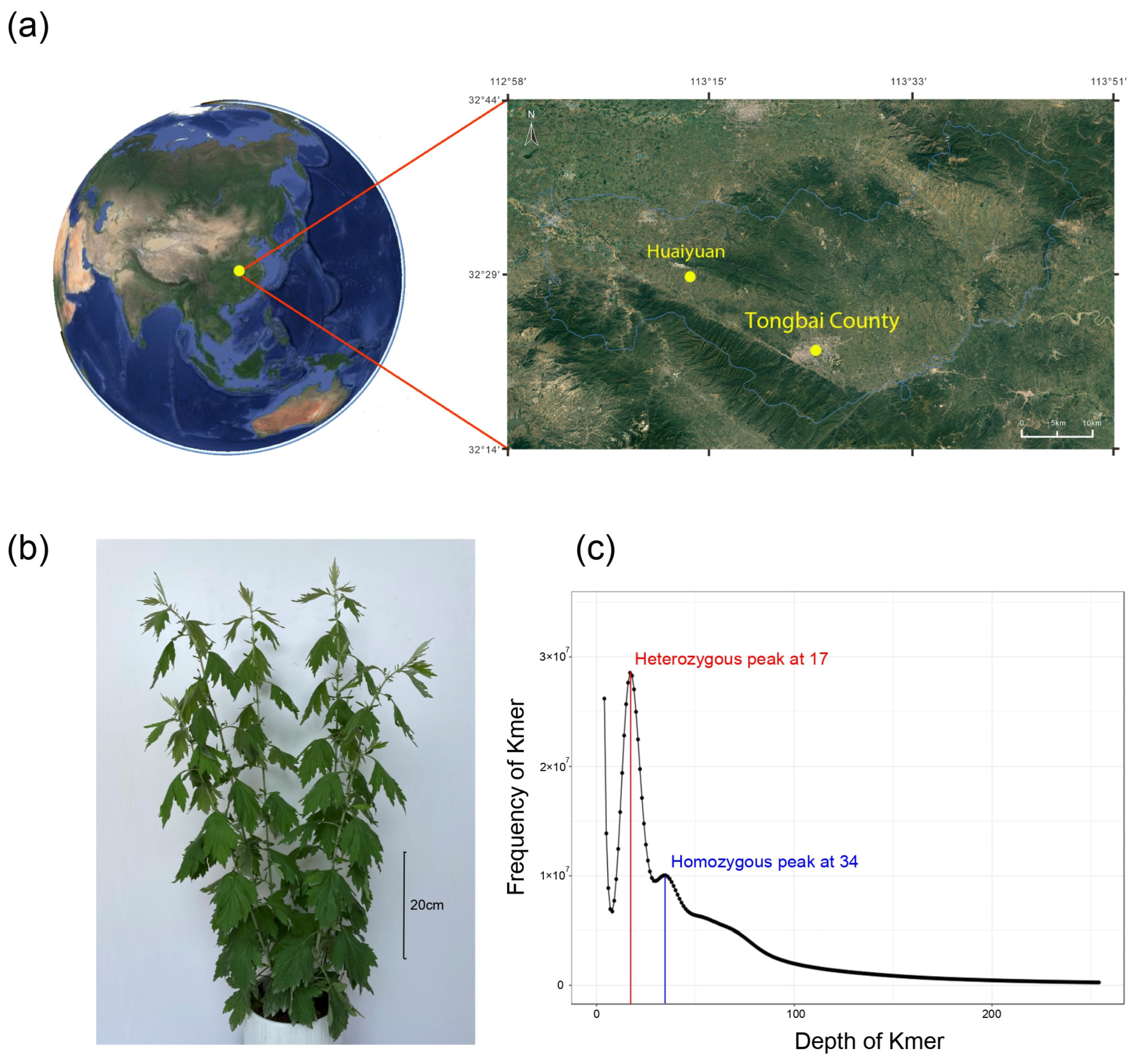 Agronomy 13 00436 g001 Agronomy 13 00436 g001