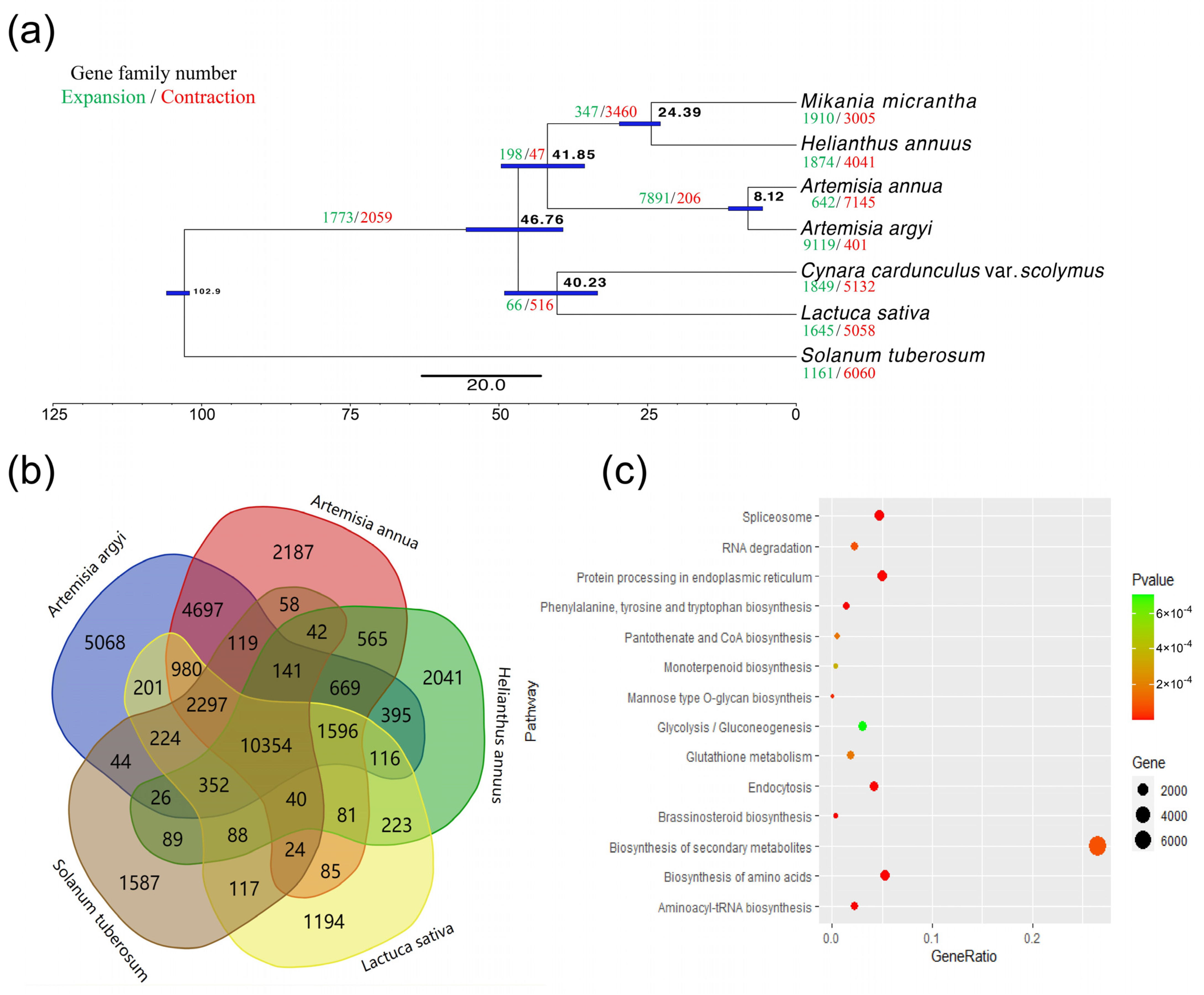 Agronomy 13 00436 g002 Agronomy 13 00436 g002