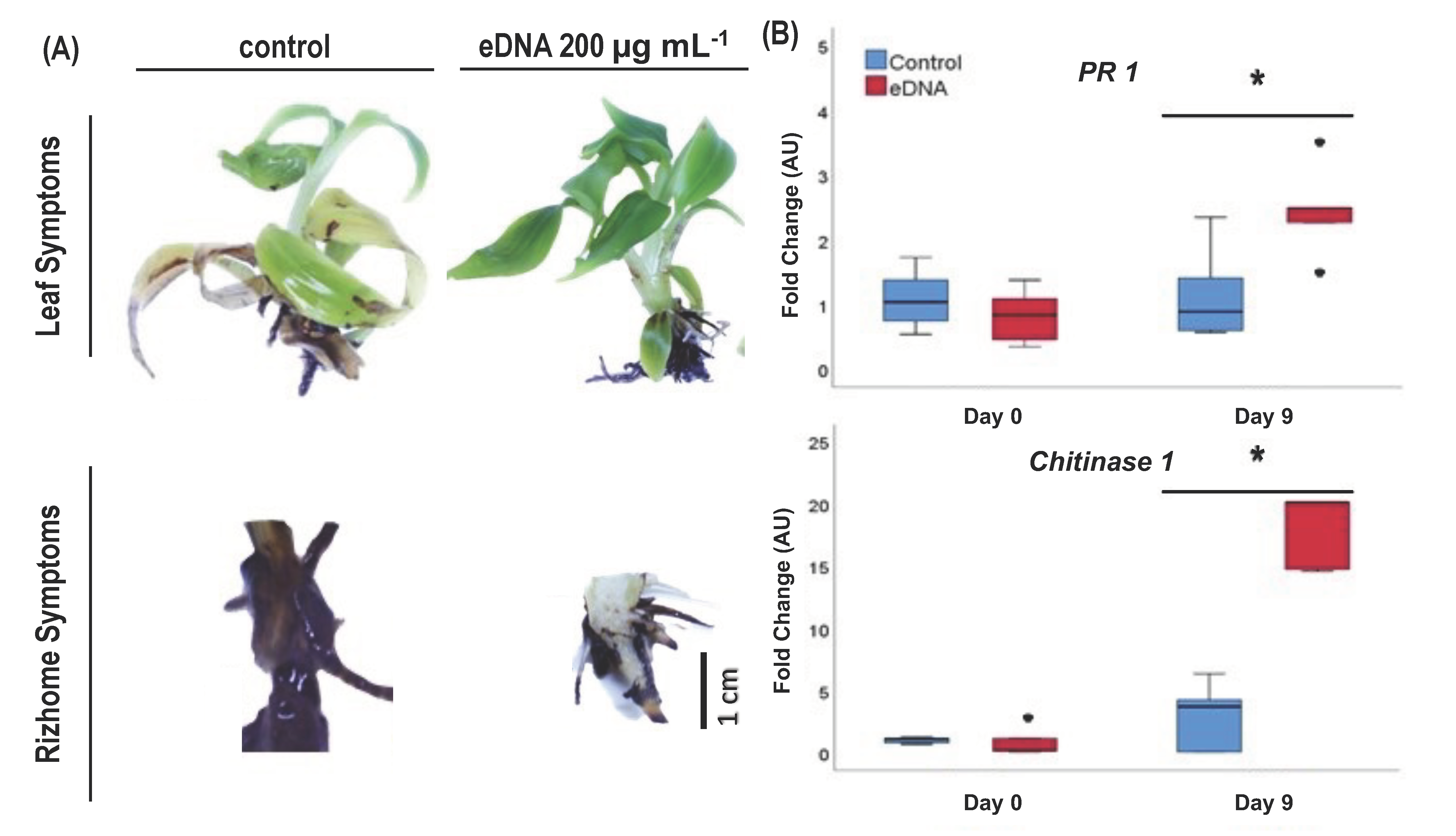 Agronomy 13 00441 g002 Agronomy 13 00441 g002