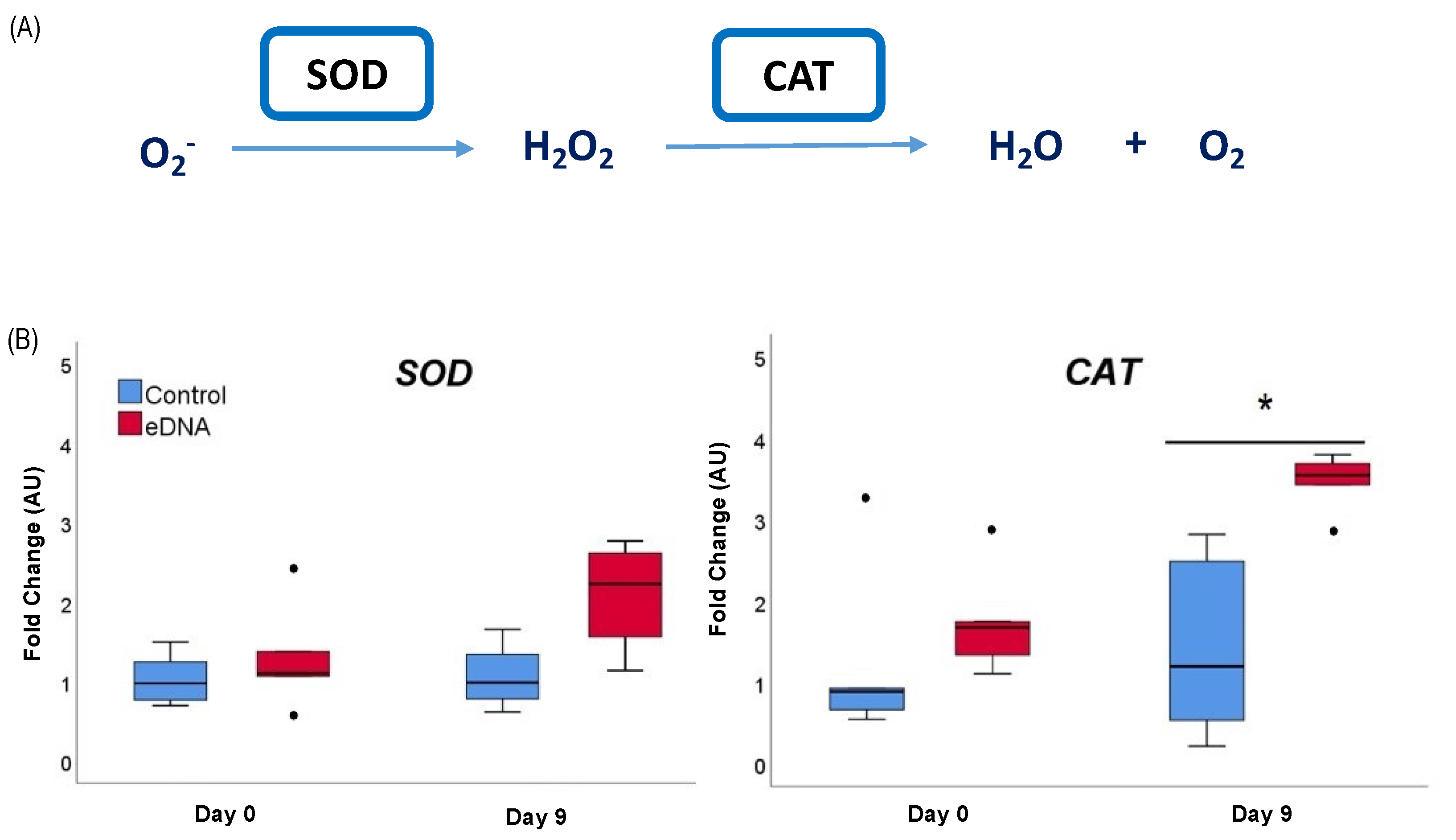 Agronomy 13 00441 g004 Agronomy 13 00441 g004