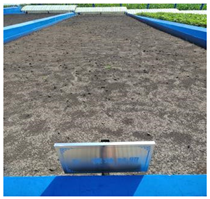 Agronomy 13 00449 i001