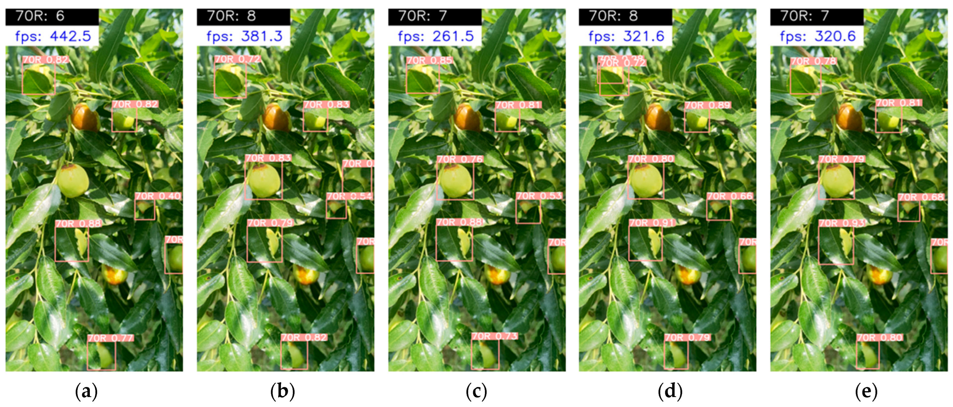 Agronomy 13 00451 g007