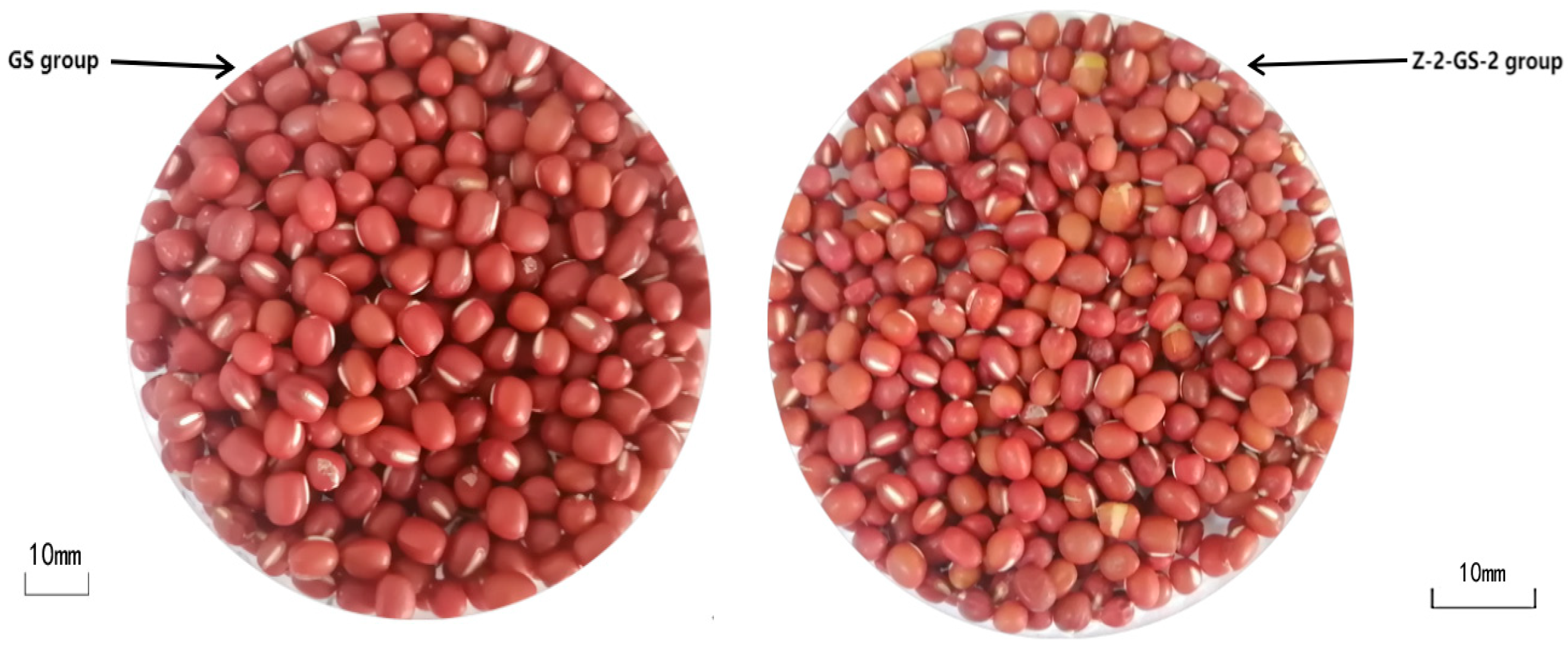 Agronomy 13 00452 g001