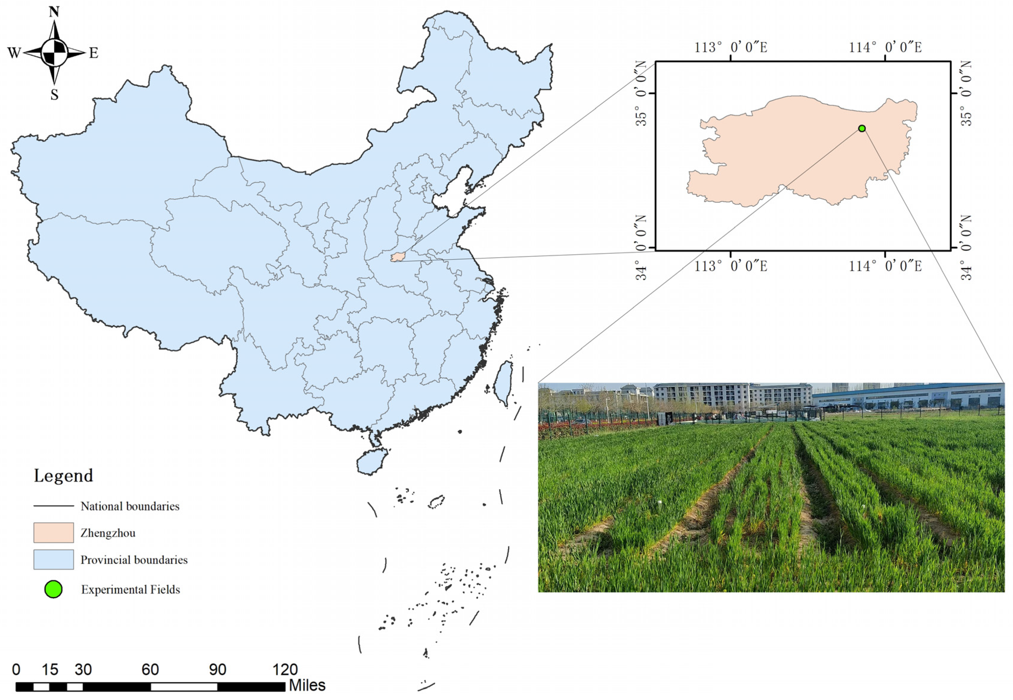 Agronomy 13 00457 g001 550