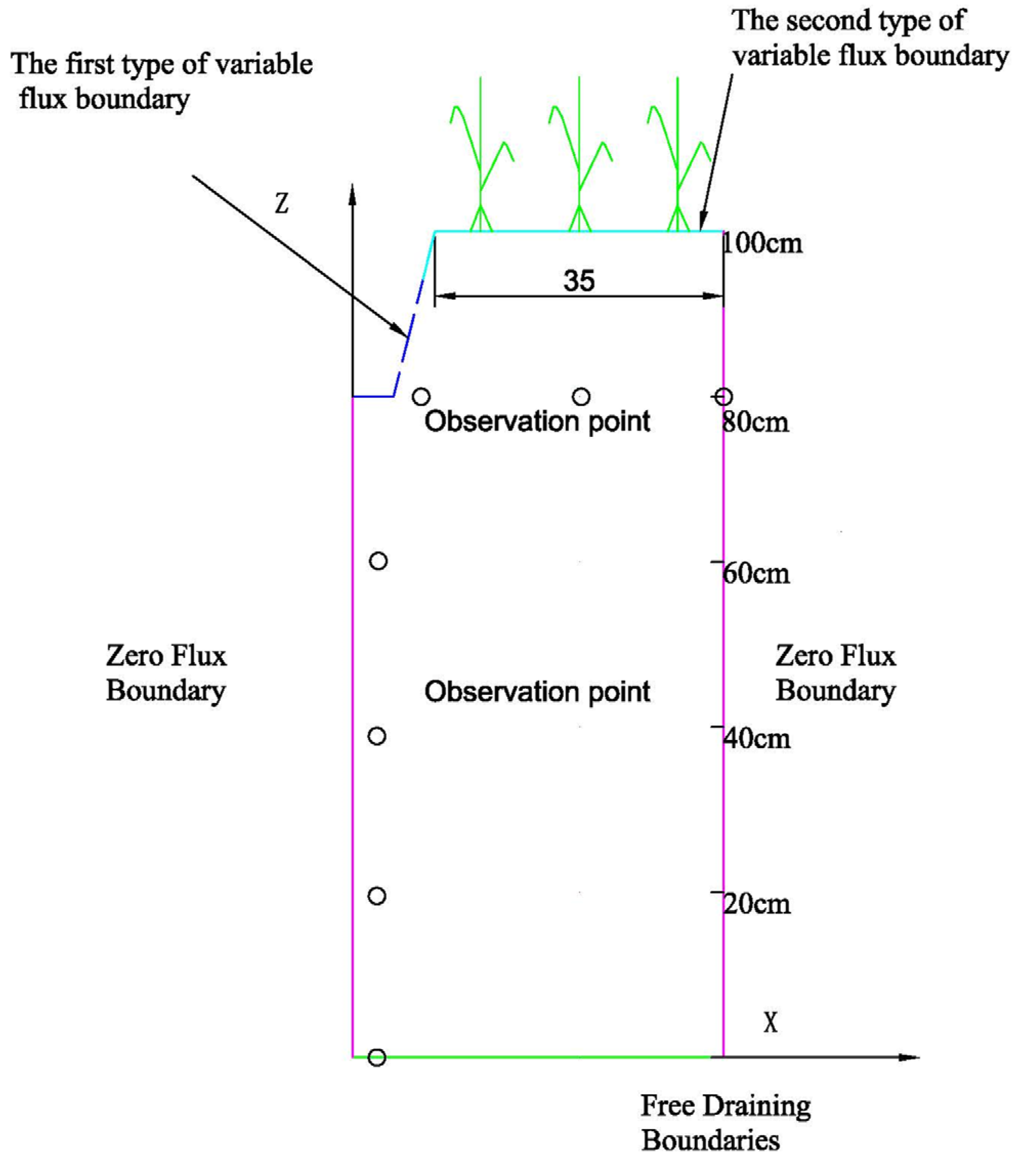 Agronomy 13 00457 g003 550