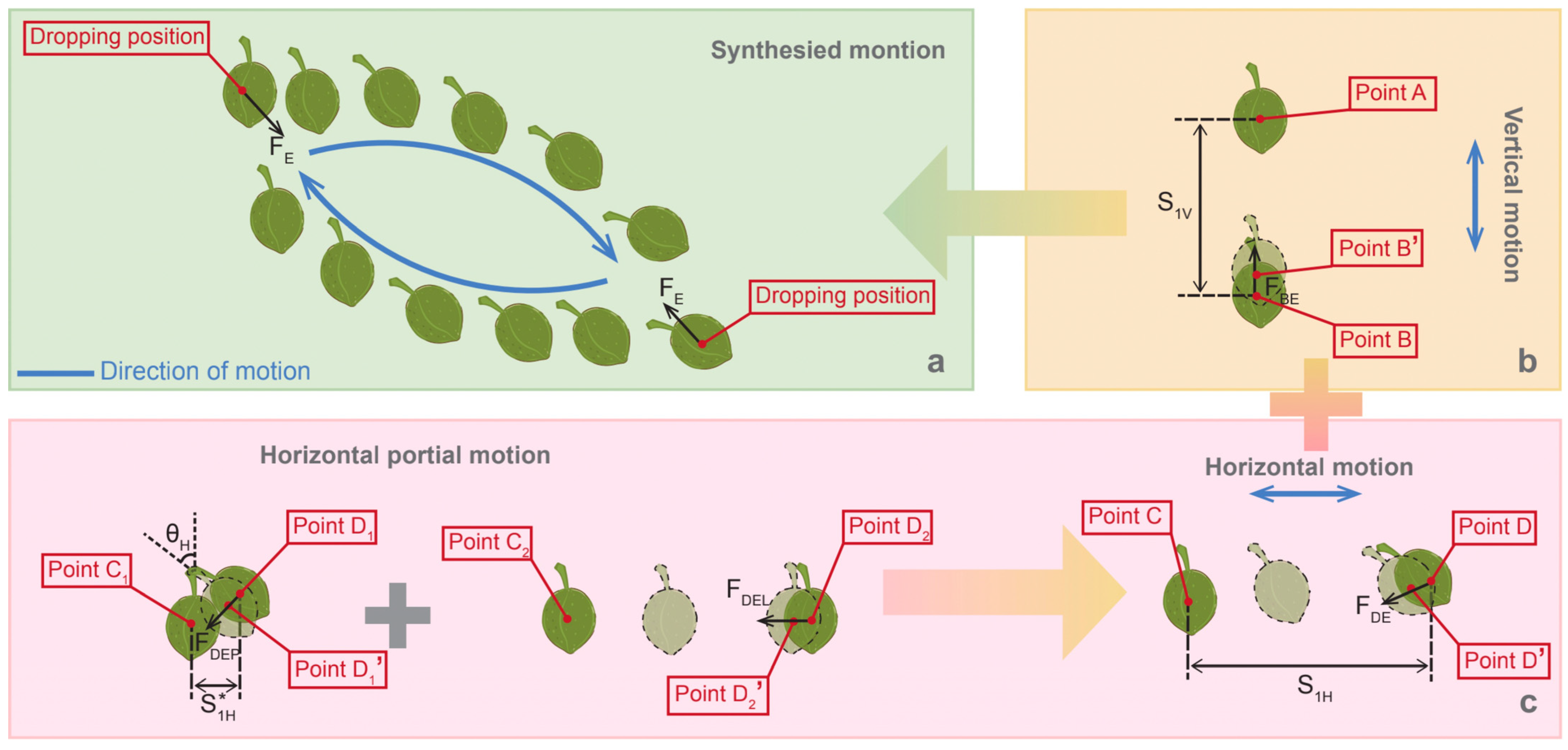Agronomy 13 00461 g002