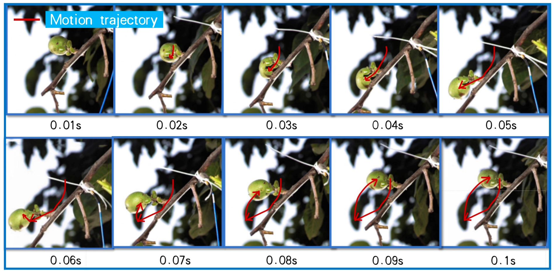Agronomy 13 00461 g005