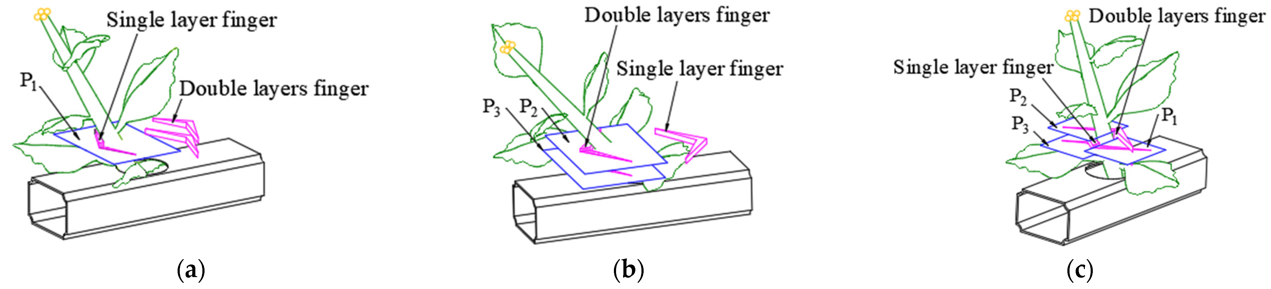 Agronomy 13 00476 g005