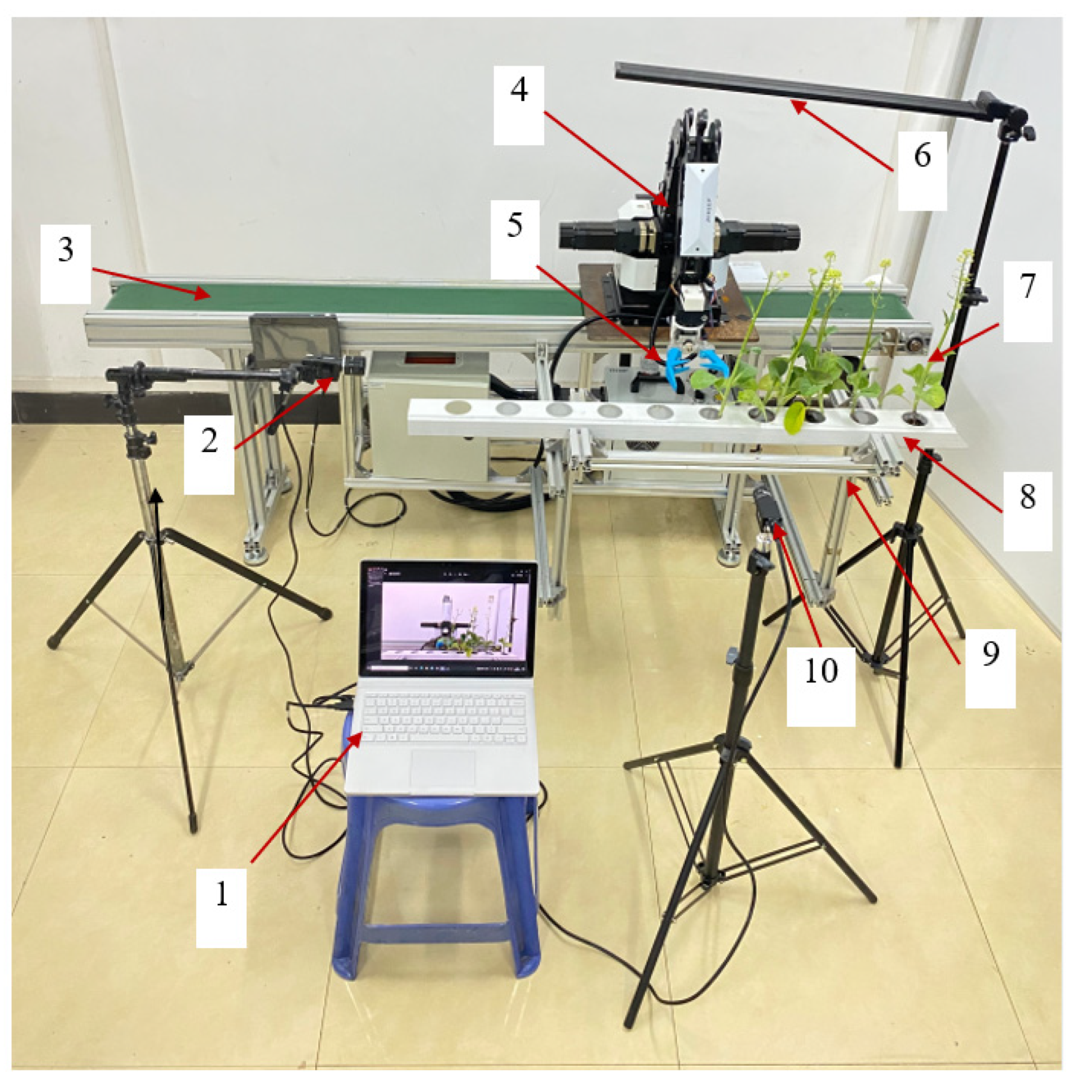 Agronomy 13 00476 g011