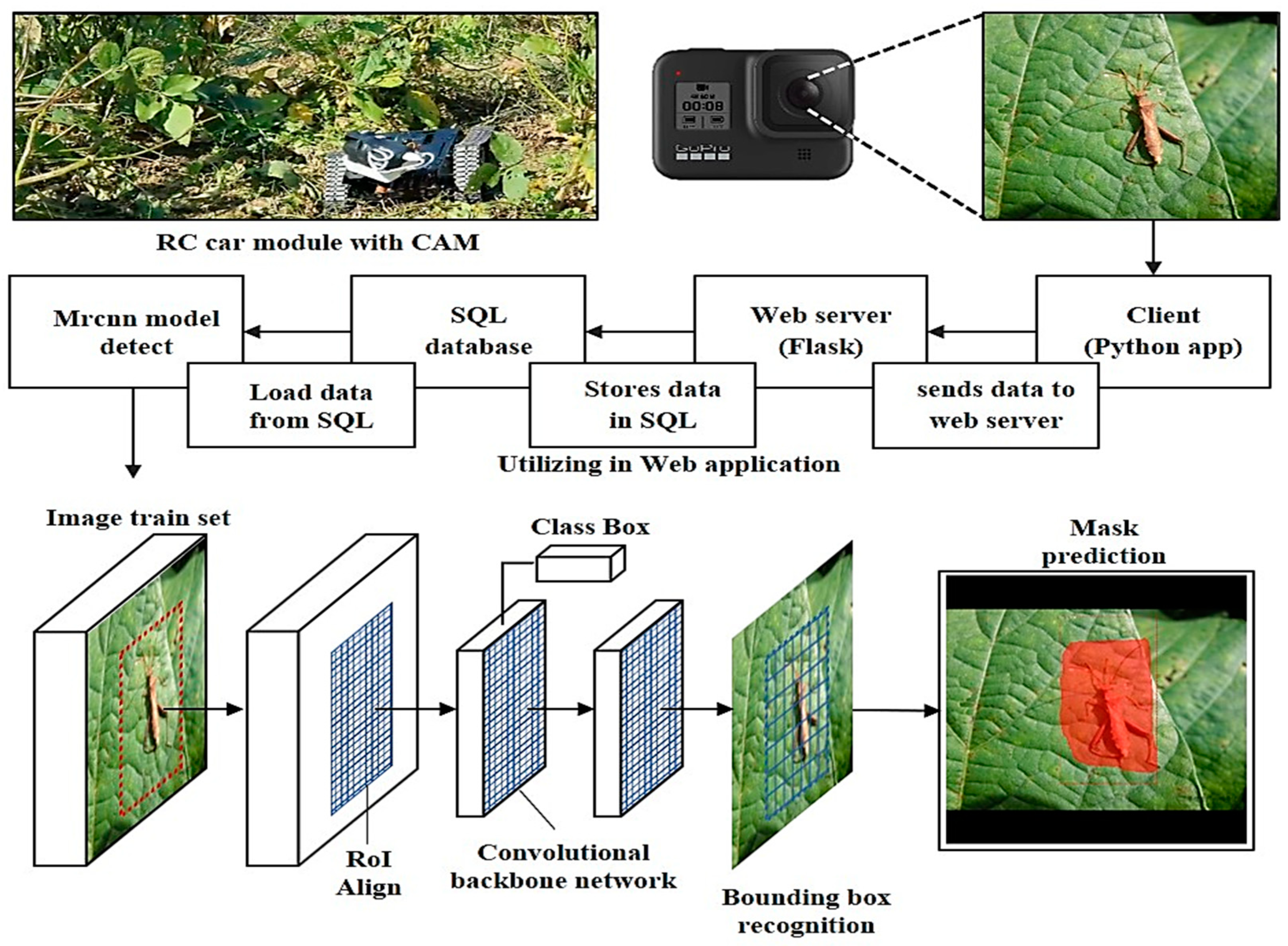 Agronomy 13 00477 g001 Agronomy 13 00477 g001