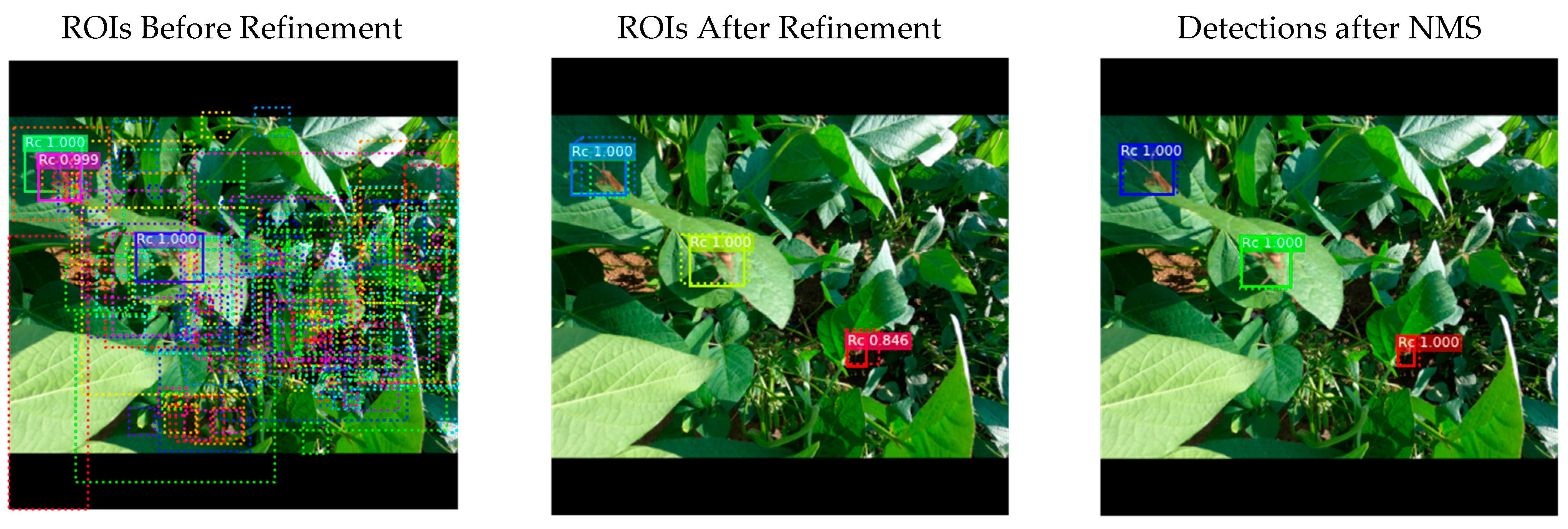 Agronomy 13 00477 g002 Agronomy 13 00477 g002