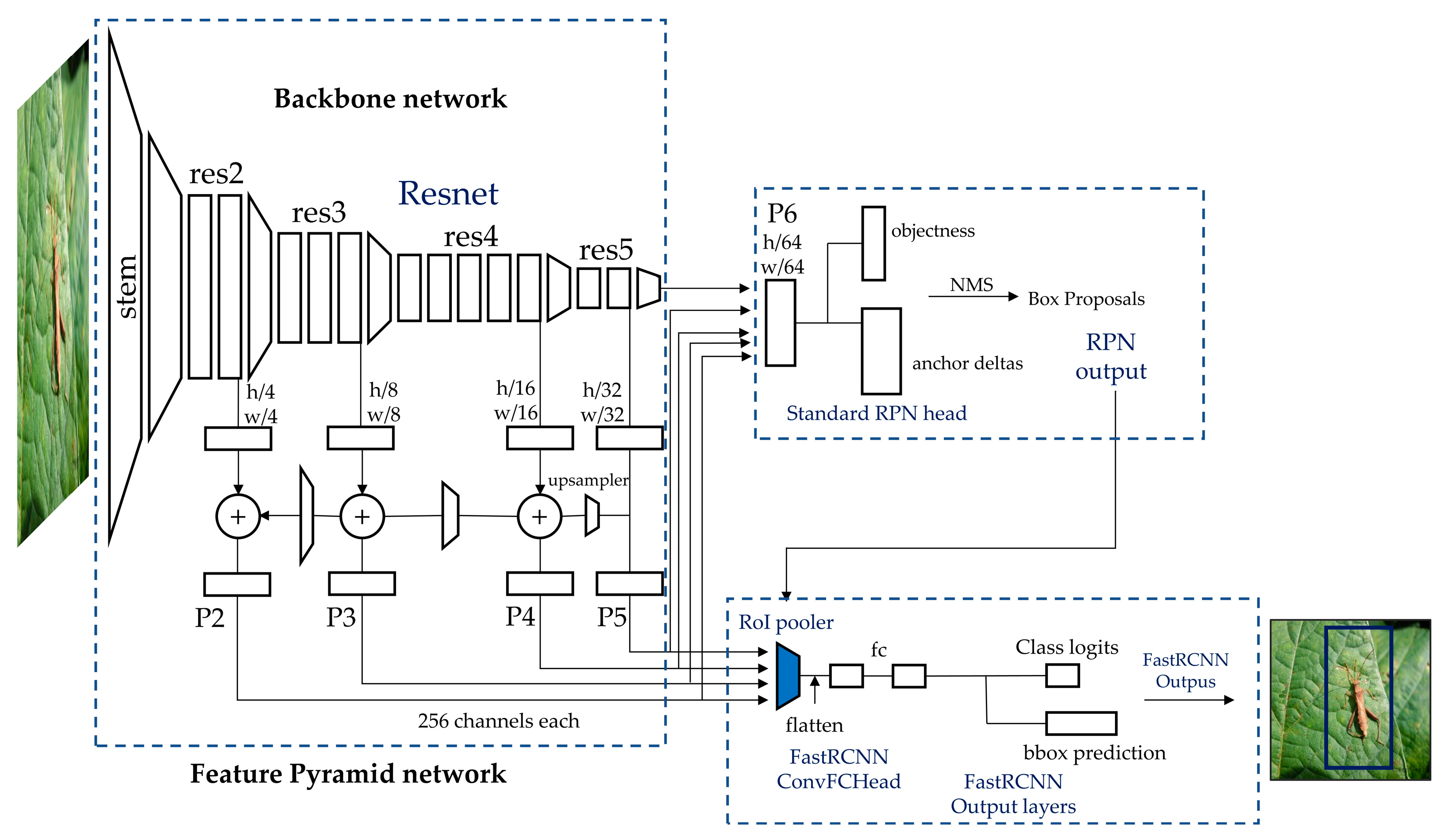 Agronomy 13 00477 g004 Agronomy 13 00477 g004