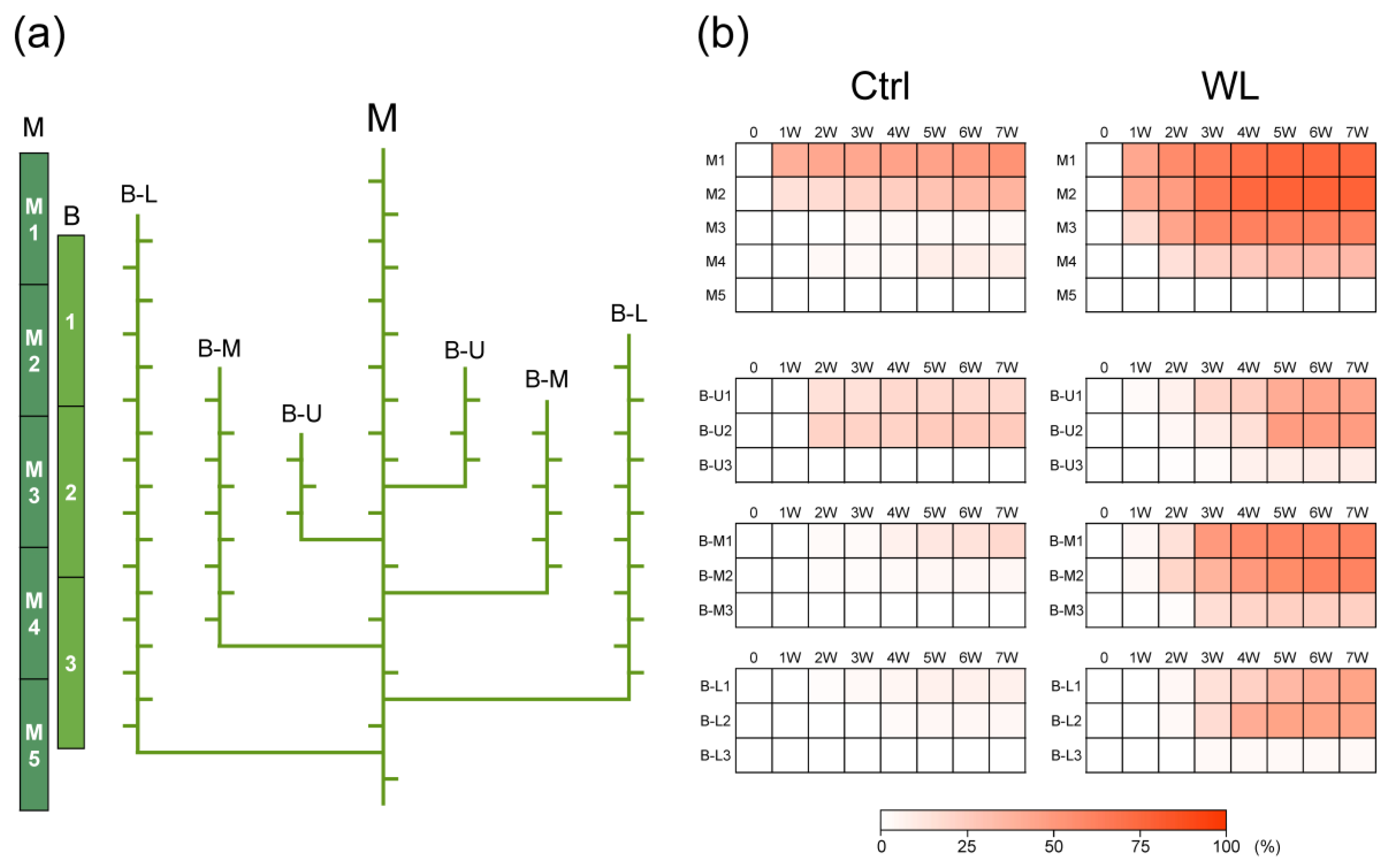 Agronomy 13 00484 g002