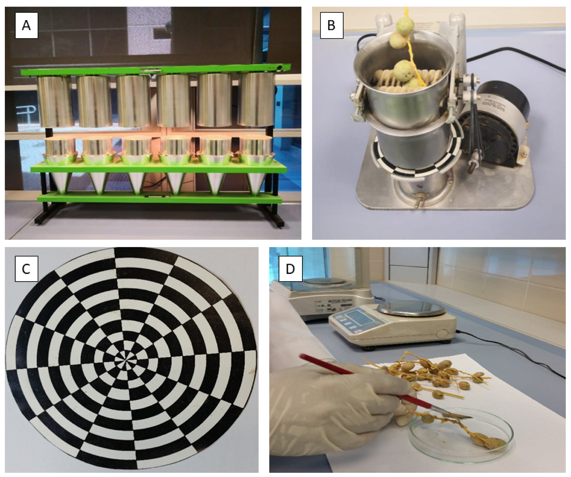 Agronomy 13 00494 g001