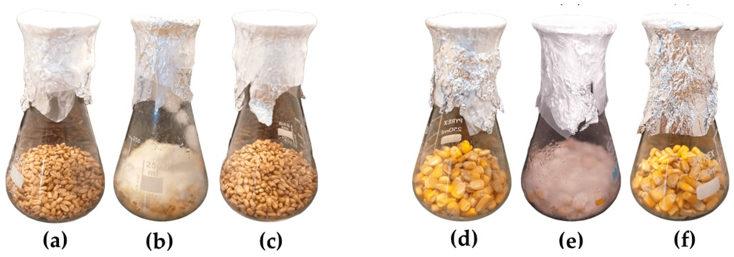 Agronomy 13 00496 g004 Agronomy 13 00496 g004