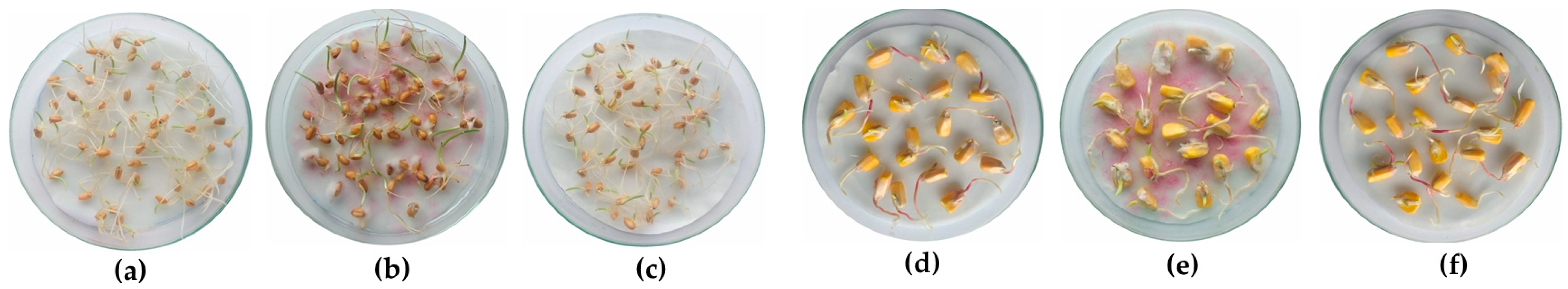 Agronomy 13 00496 g005 Agronomy 13 00496 g005
