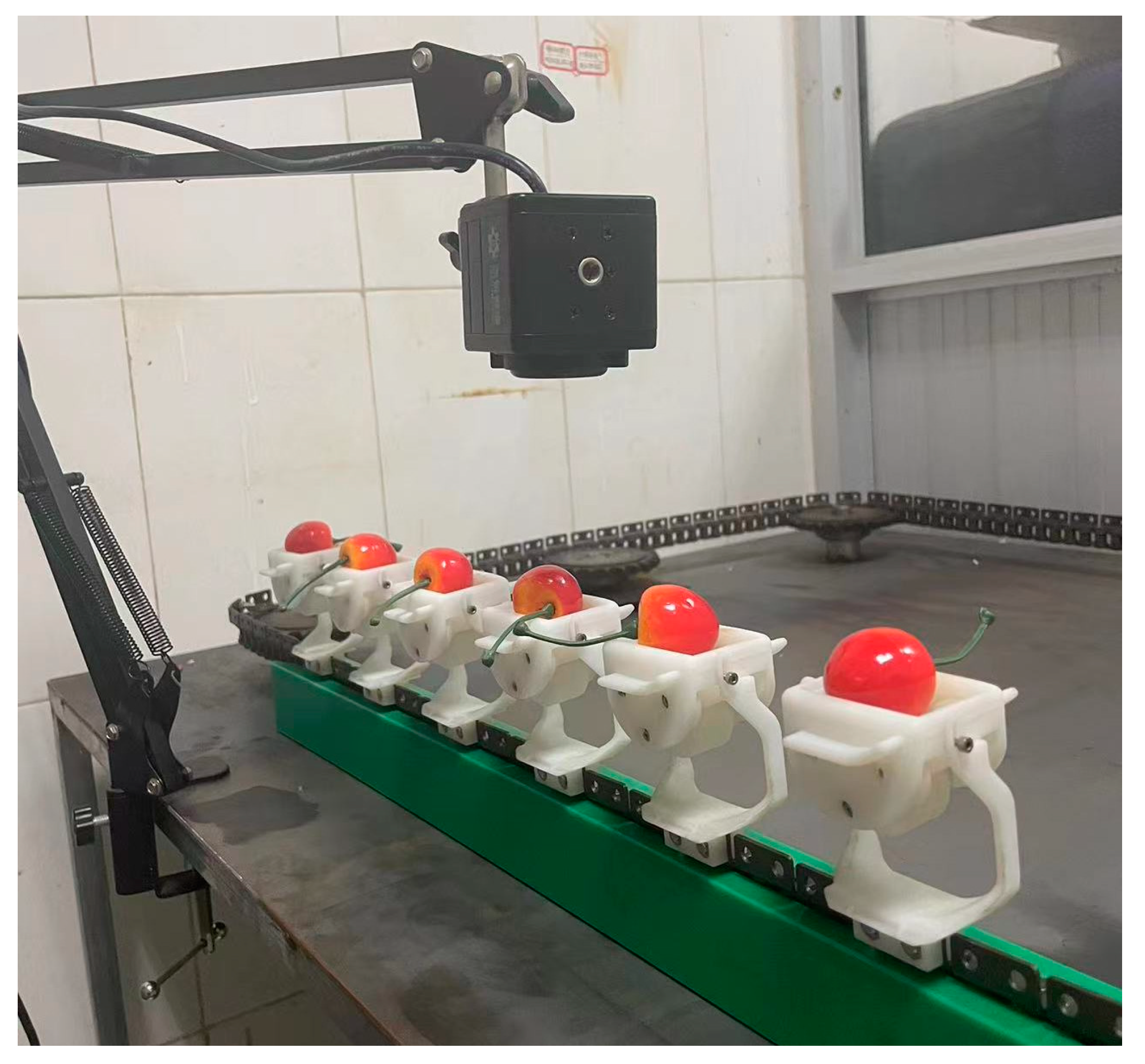 Agronomy 13 00500 g015