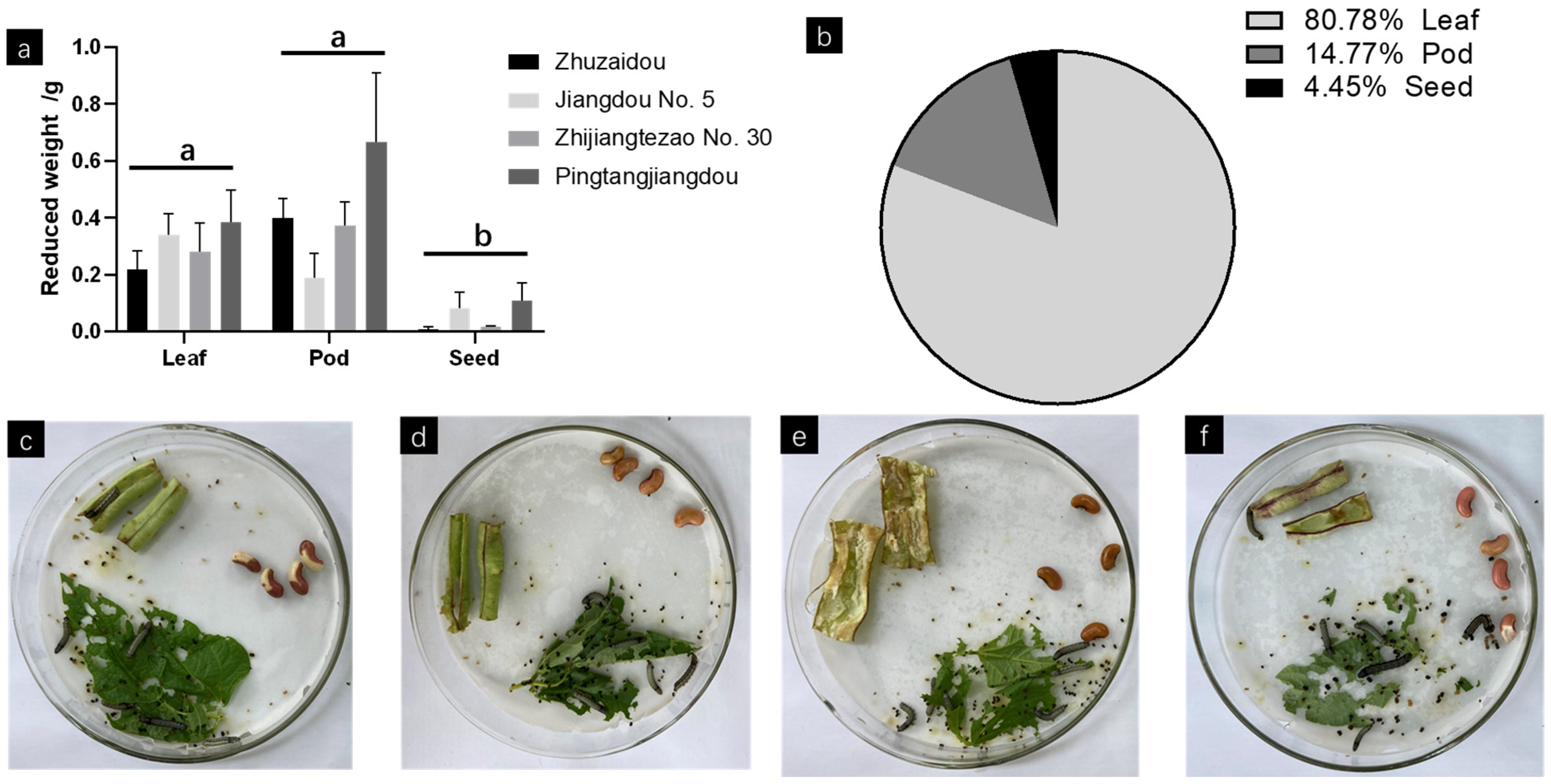 Agronomy 13 00502 g006 Agronomy 13 00502 g006