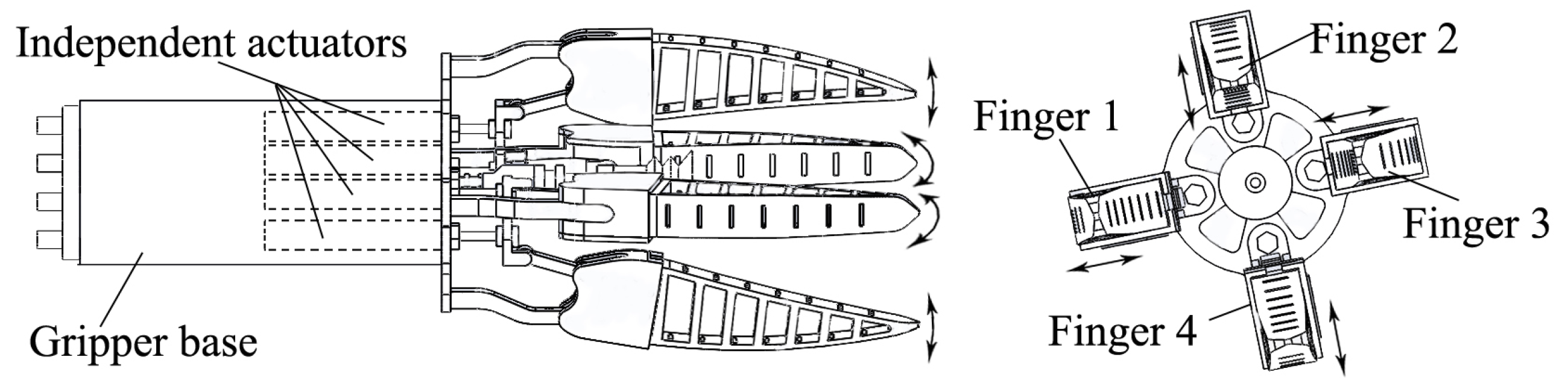 Agronomy 13 00503 g001