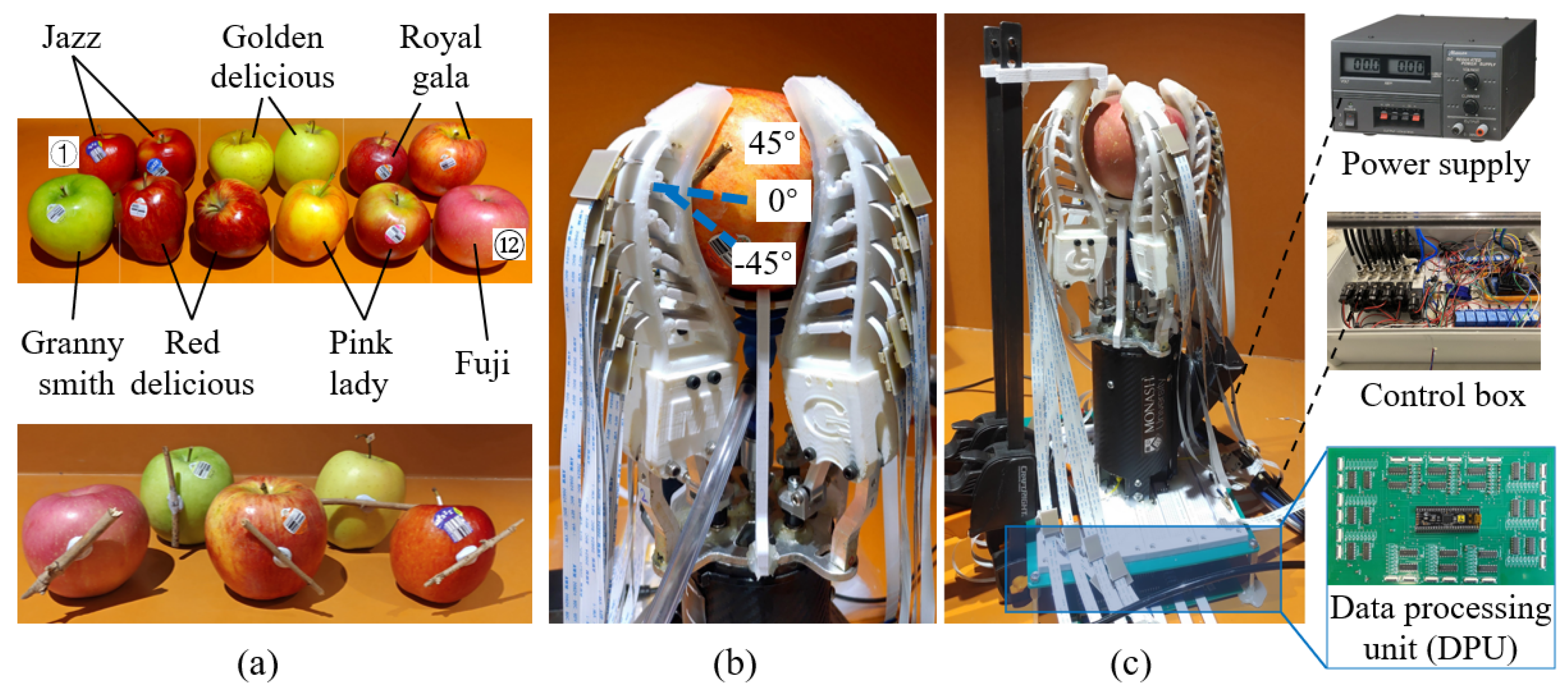 Agronomy 13 00503 g007