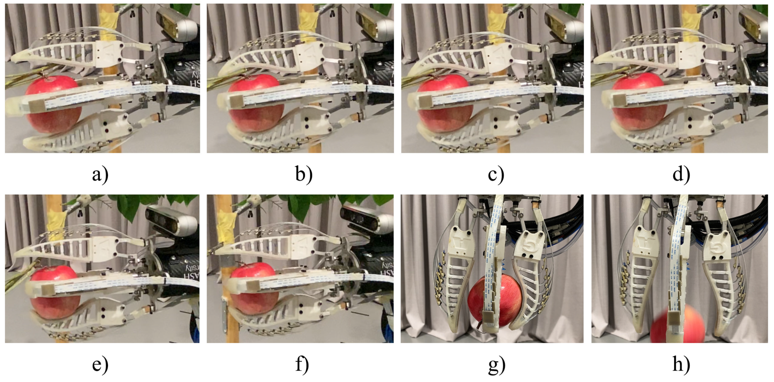 Agronomy 13 00503 g013