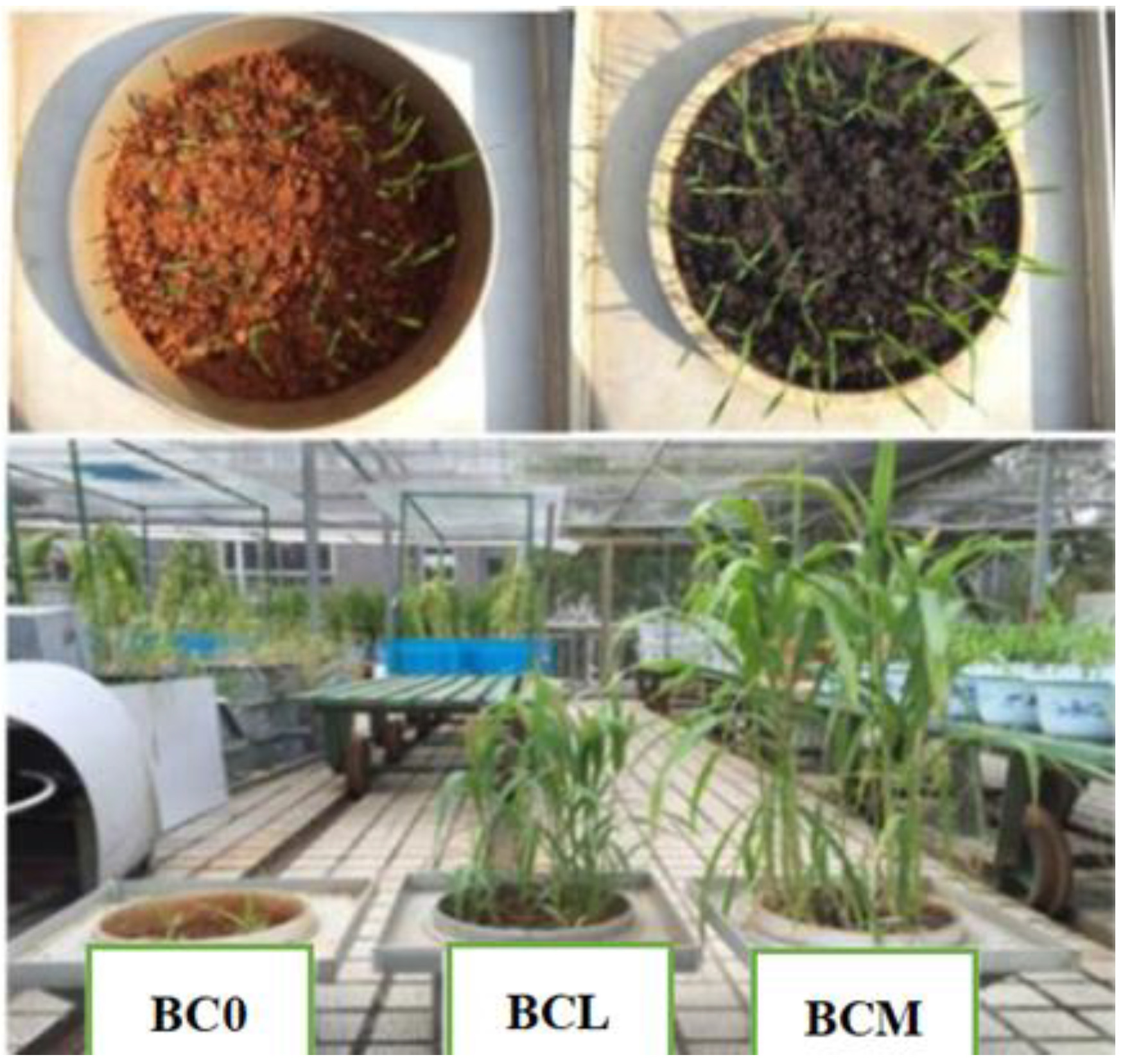 Agronomy 13 00505 g001 550