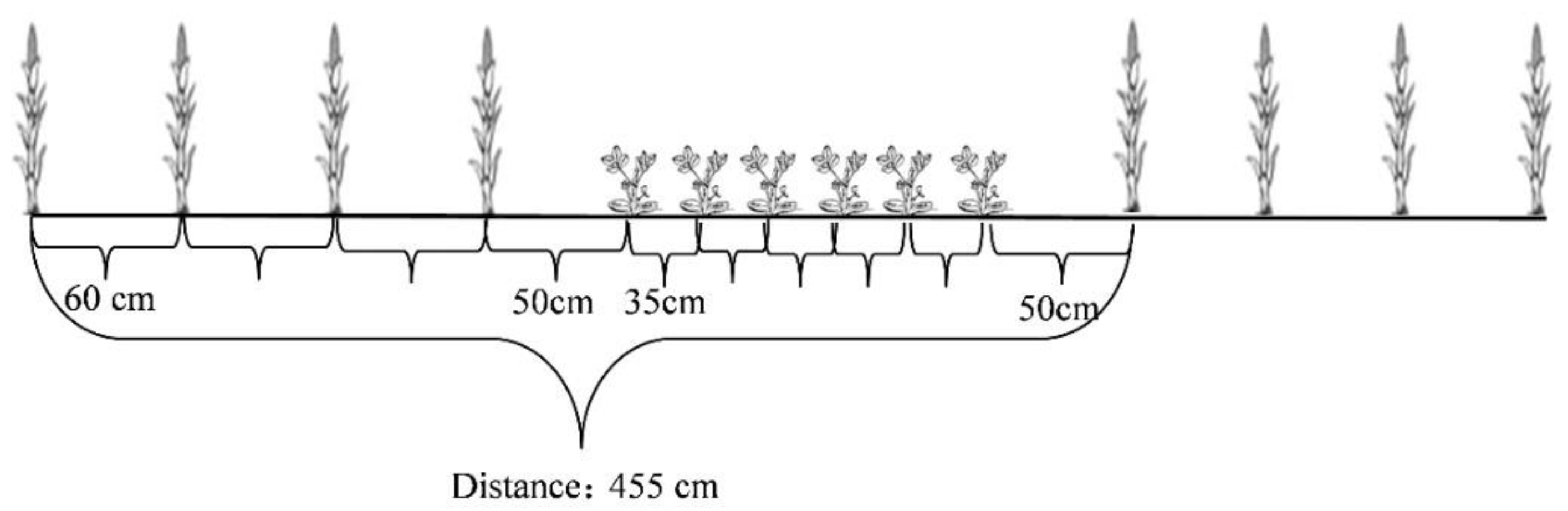 Agronomy 13 00509 g002 Agronomy 13 00509 g002
