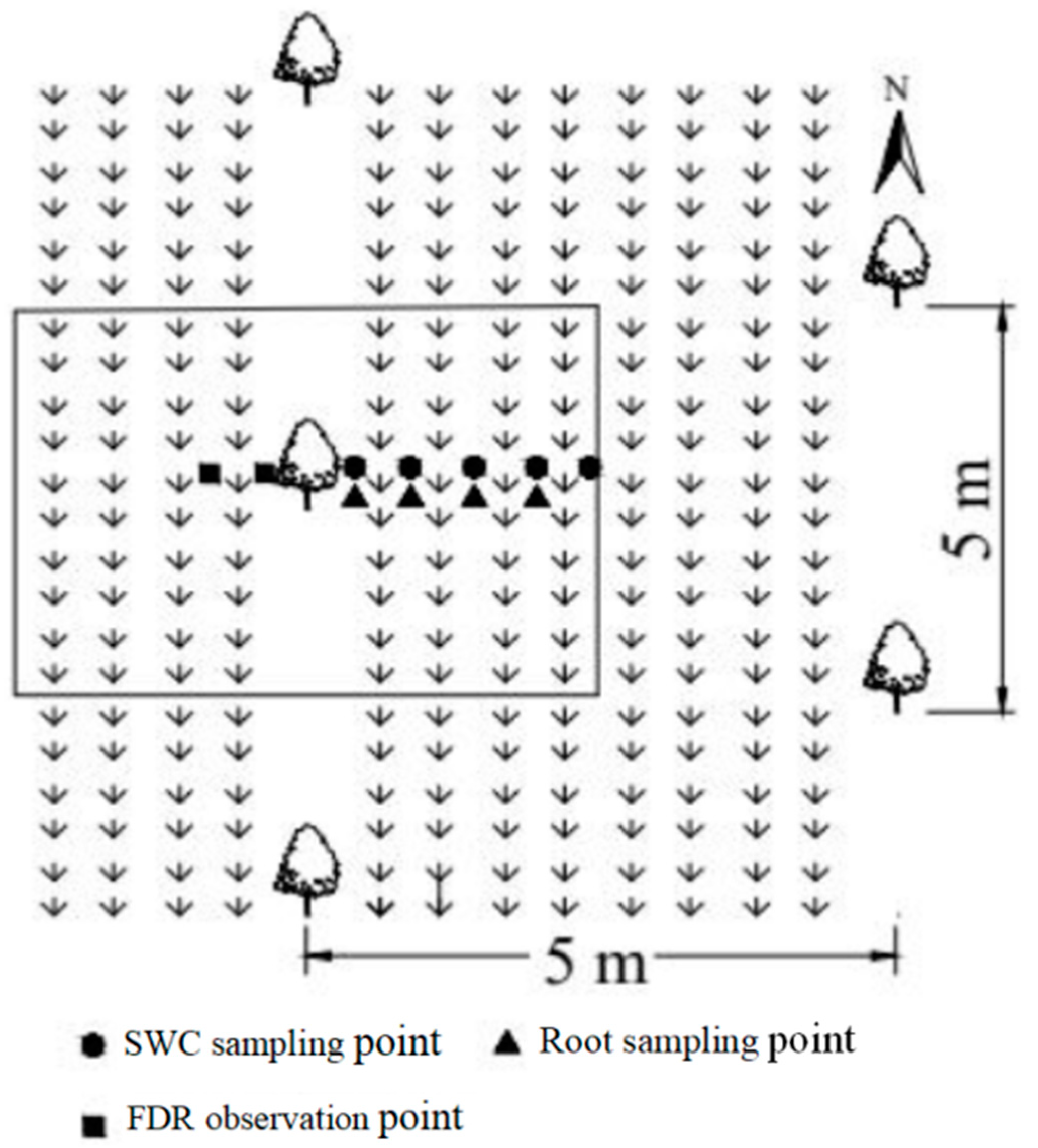 Agronomy 13 00511 g002