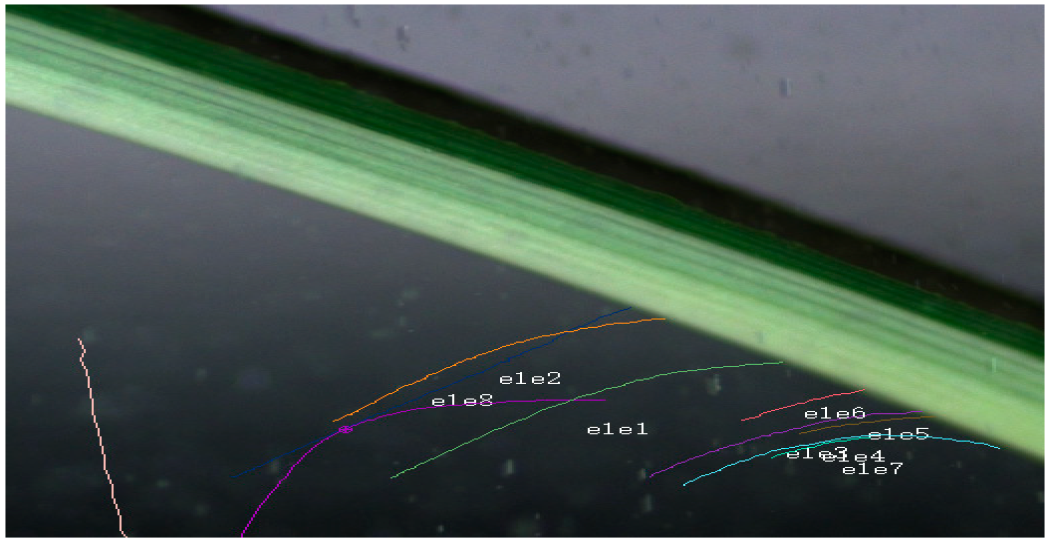 Agronomy 13 00512 g017 Agronomy 13 00512 g017