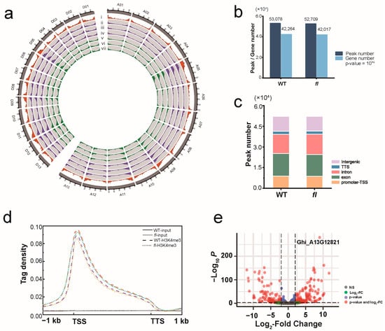 Agronomy | Free Full-Text | A Novel Tandem Zinc Finger Protein in ...: Agronomy Nông nghiệp là ngành quan trọng của kinh tế và đời sống con người. Hãy khám phá bài viết mới nhất trên Agronomy để tìm hiểu cách cải thiện năng suất và chất lượng sản phẩm đồng thời giúp bảo vệ môi trường.