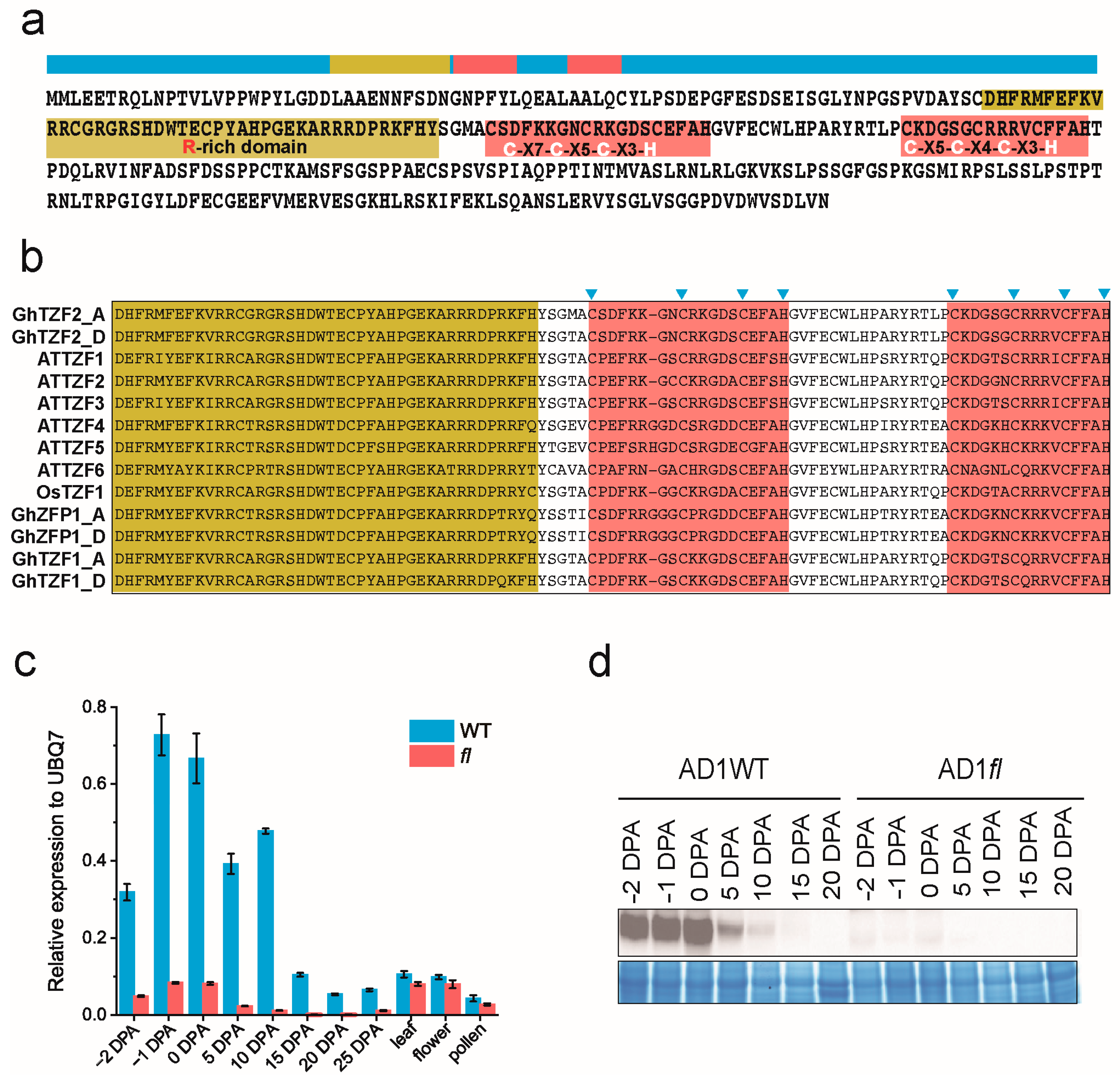 Agronomy 13 00519 g003 Agronomy 13 00519 g003