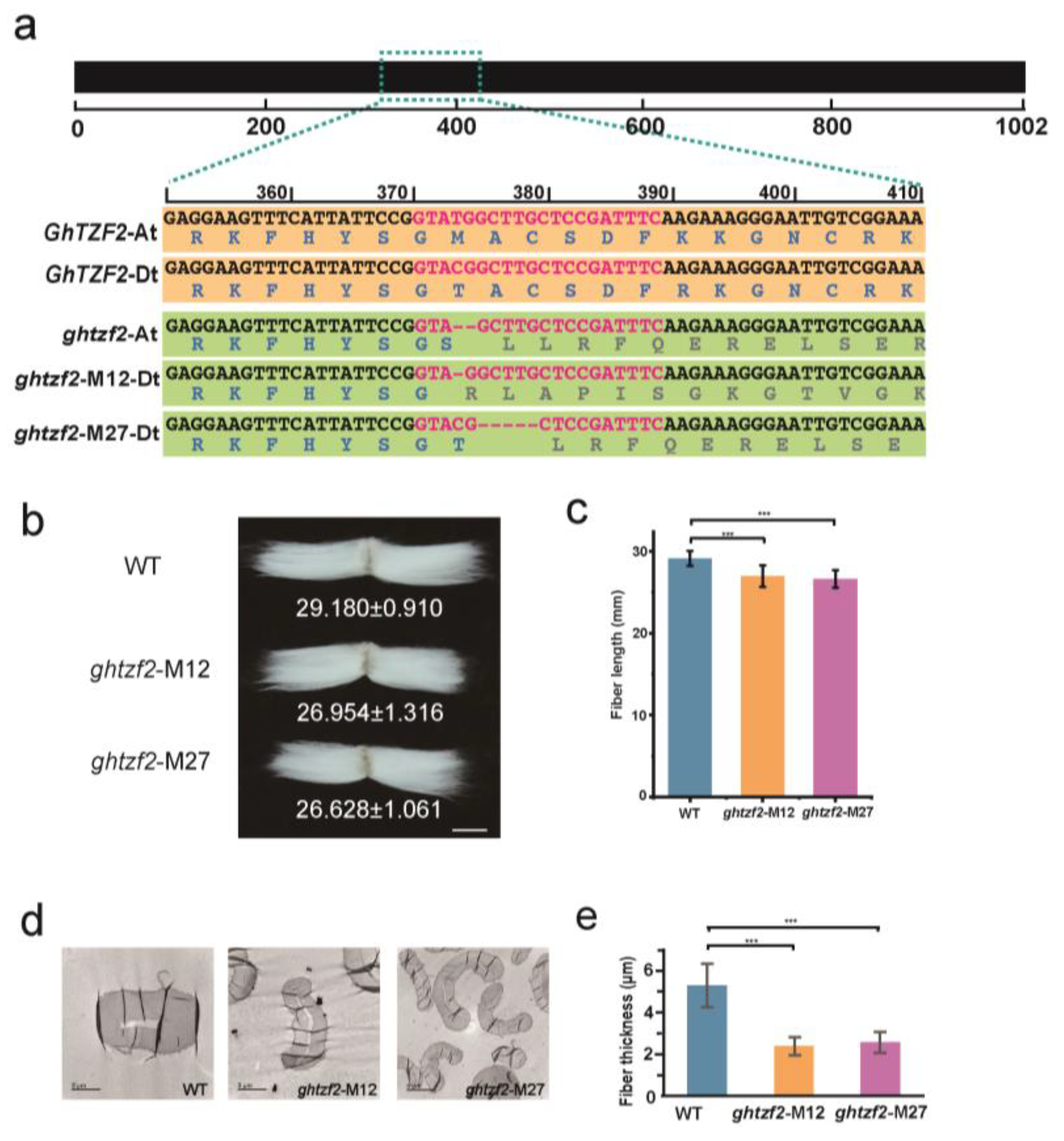 Tandem Zinc Finger Protein: Hãy khám phá hình ảnh liên quan đến Tandem Zinc Finger Protein để tìm hiểu về một loại protein có khả năng điều khiển đóng góp vào tế bào và cơ chế gene thúc đẩy sức khỏe của chúng ta!