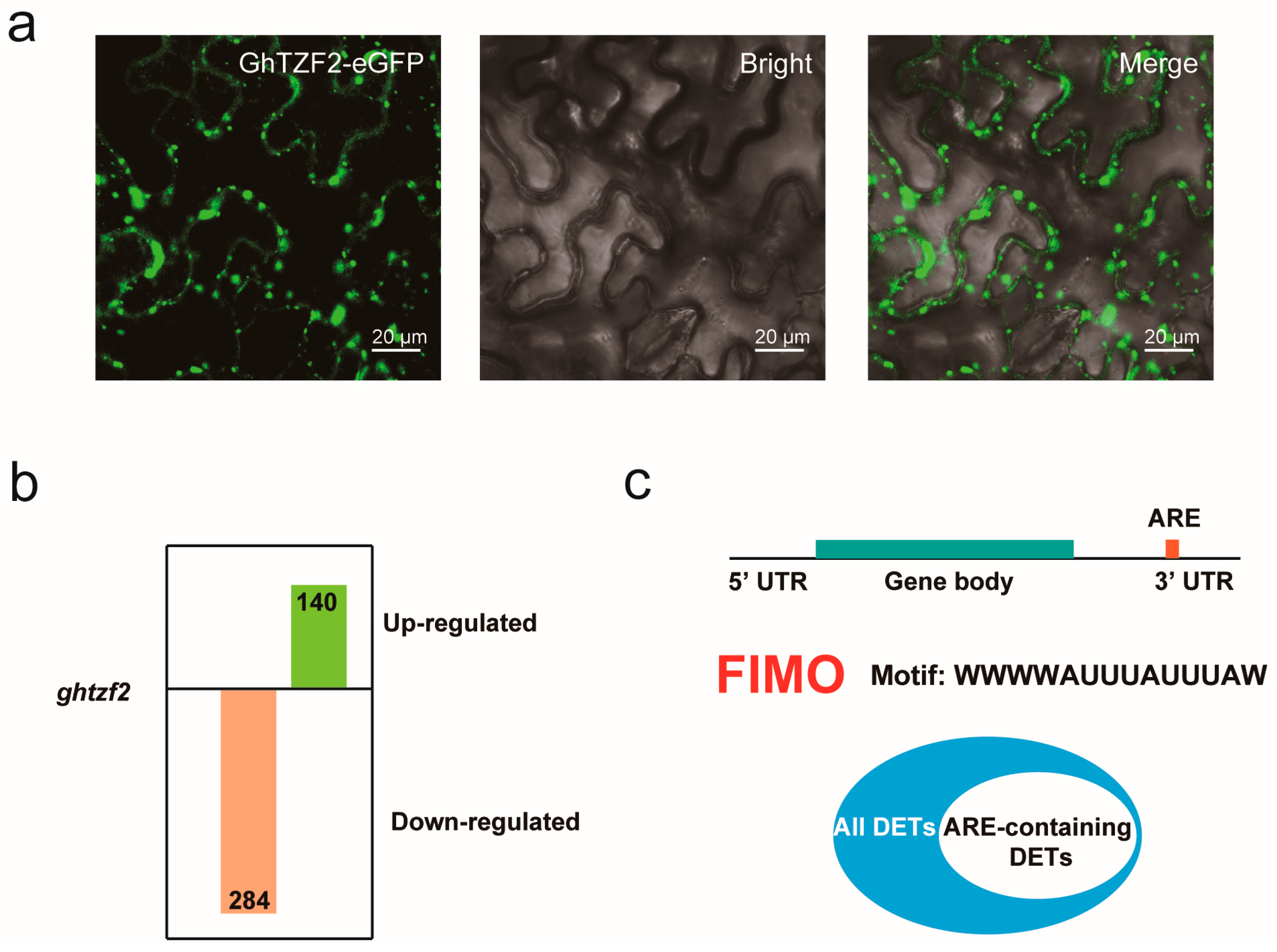 Agronomy 13 00519 g006 Agronomy 13 00519 g006