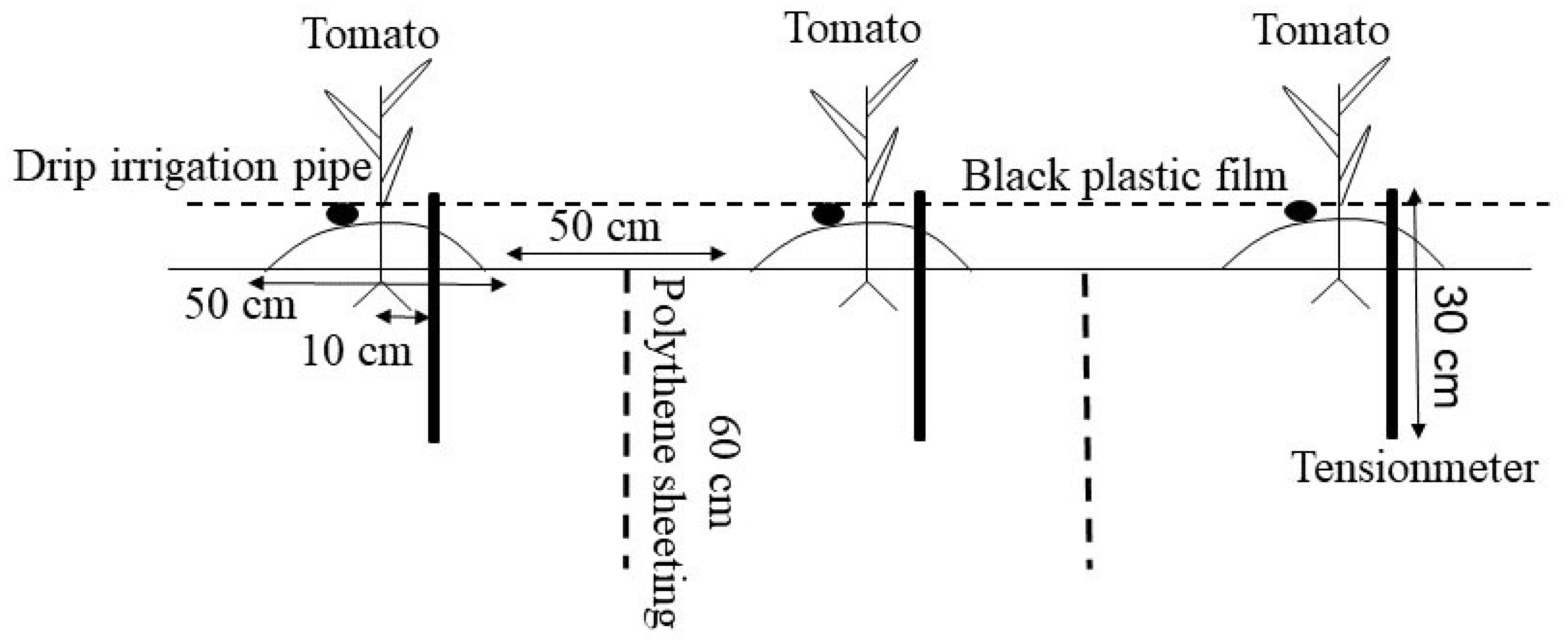 Agronomy 13 00522 g001 550