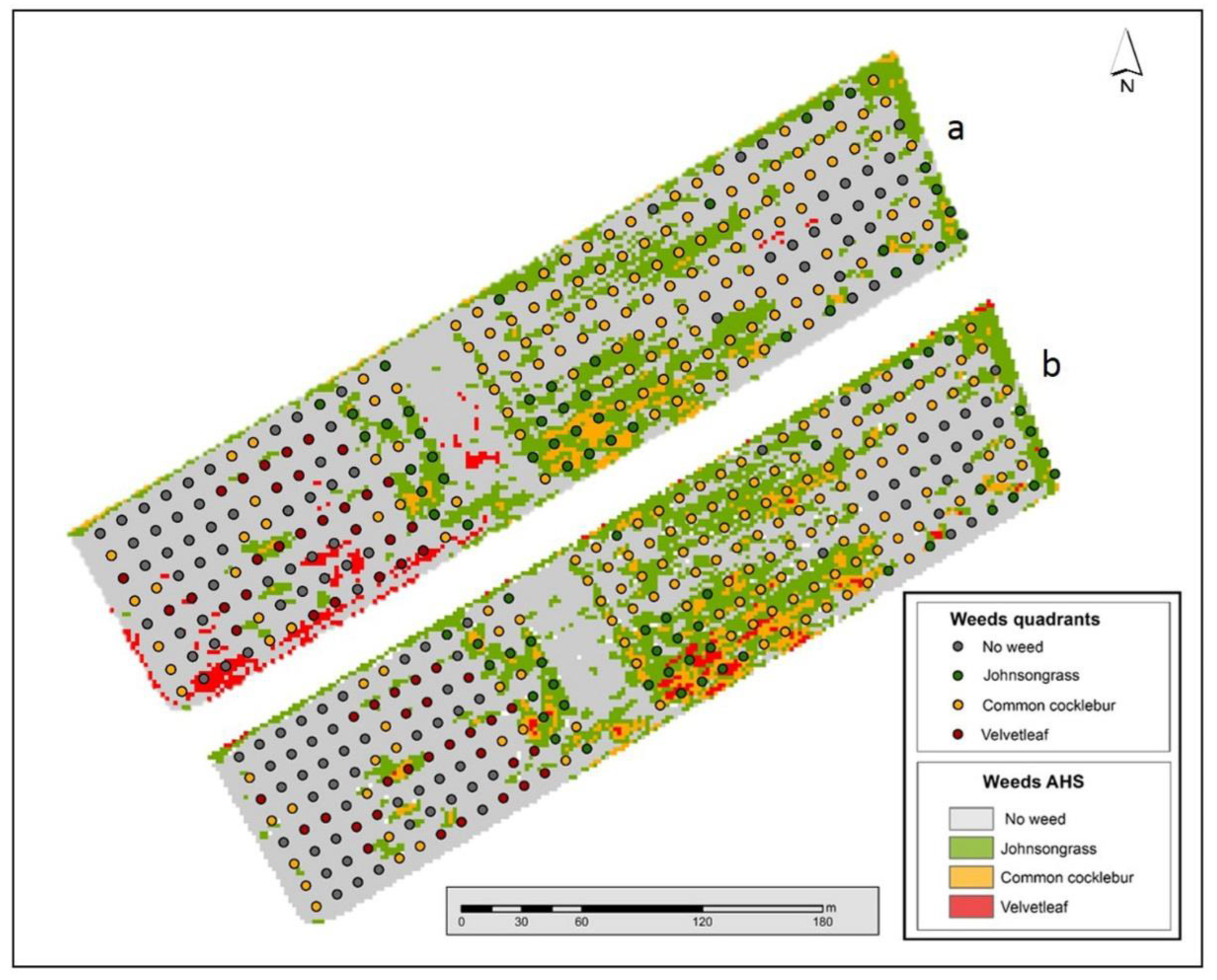Agronomy 13 00528 g006
